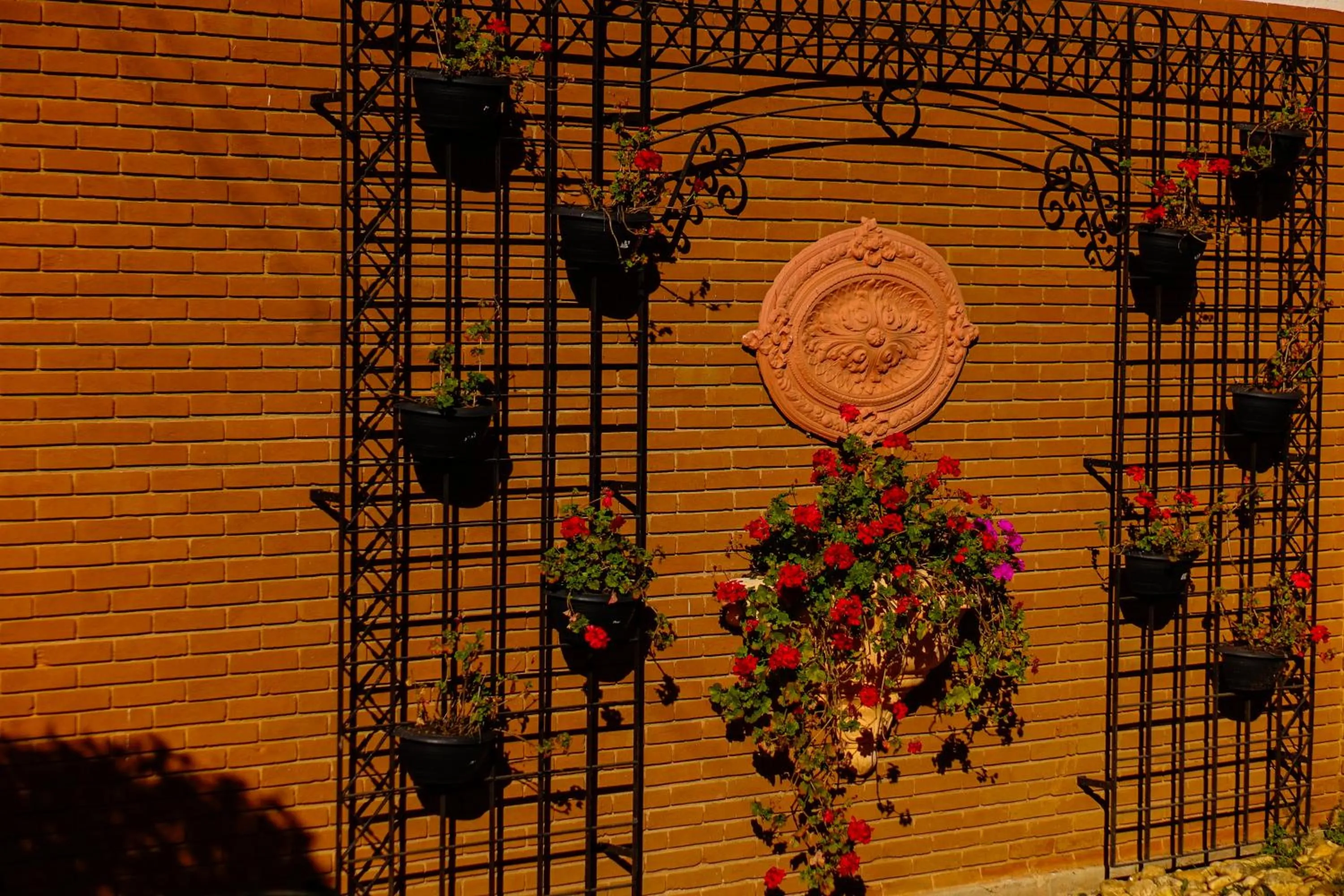 Garden in Pousada Constellation Lodge