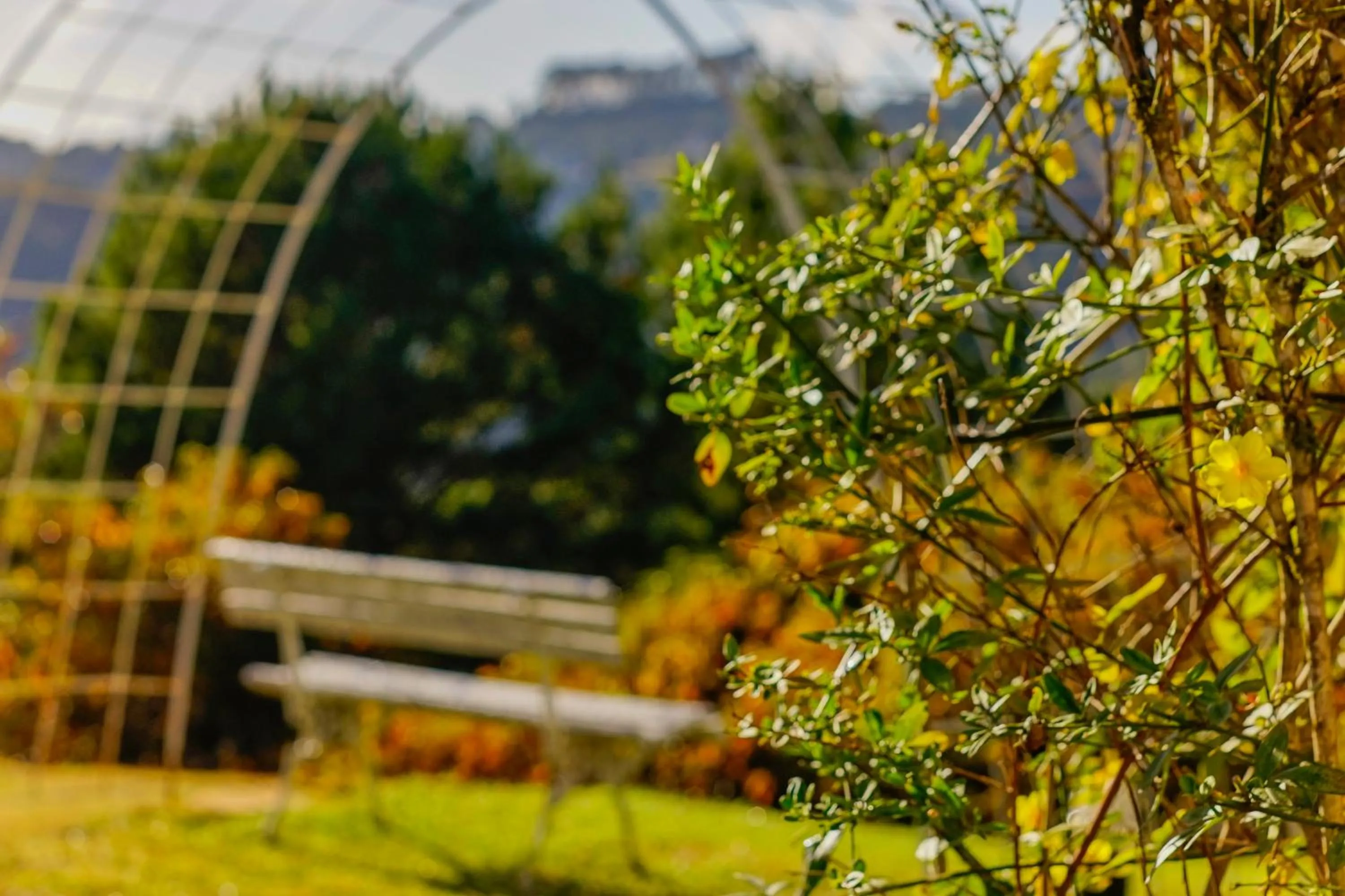 Garden in Pousada Constellation Lodge