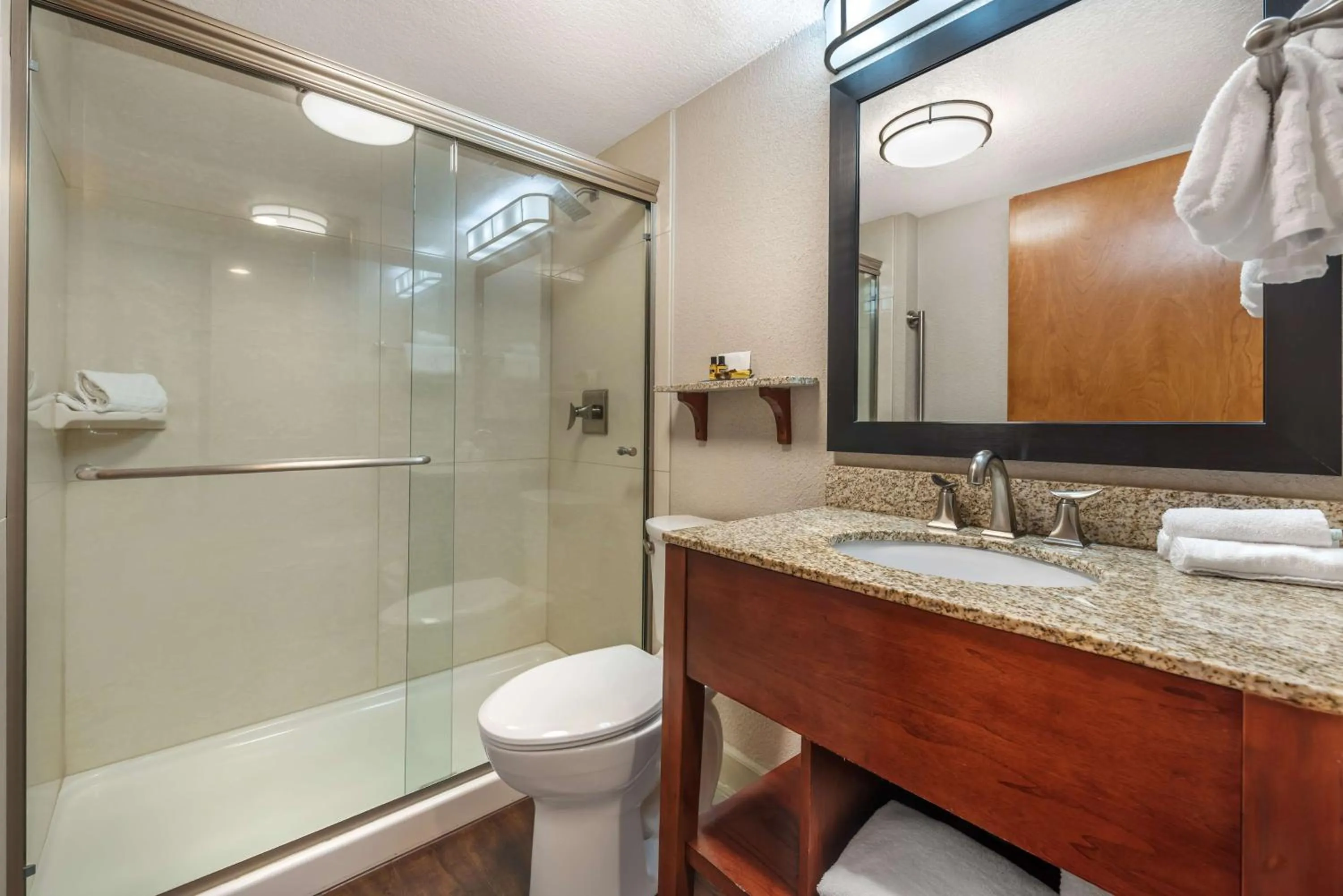 Bathroom in Best Western Plus Peak Vista Inn & Suites