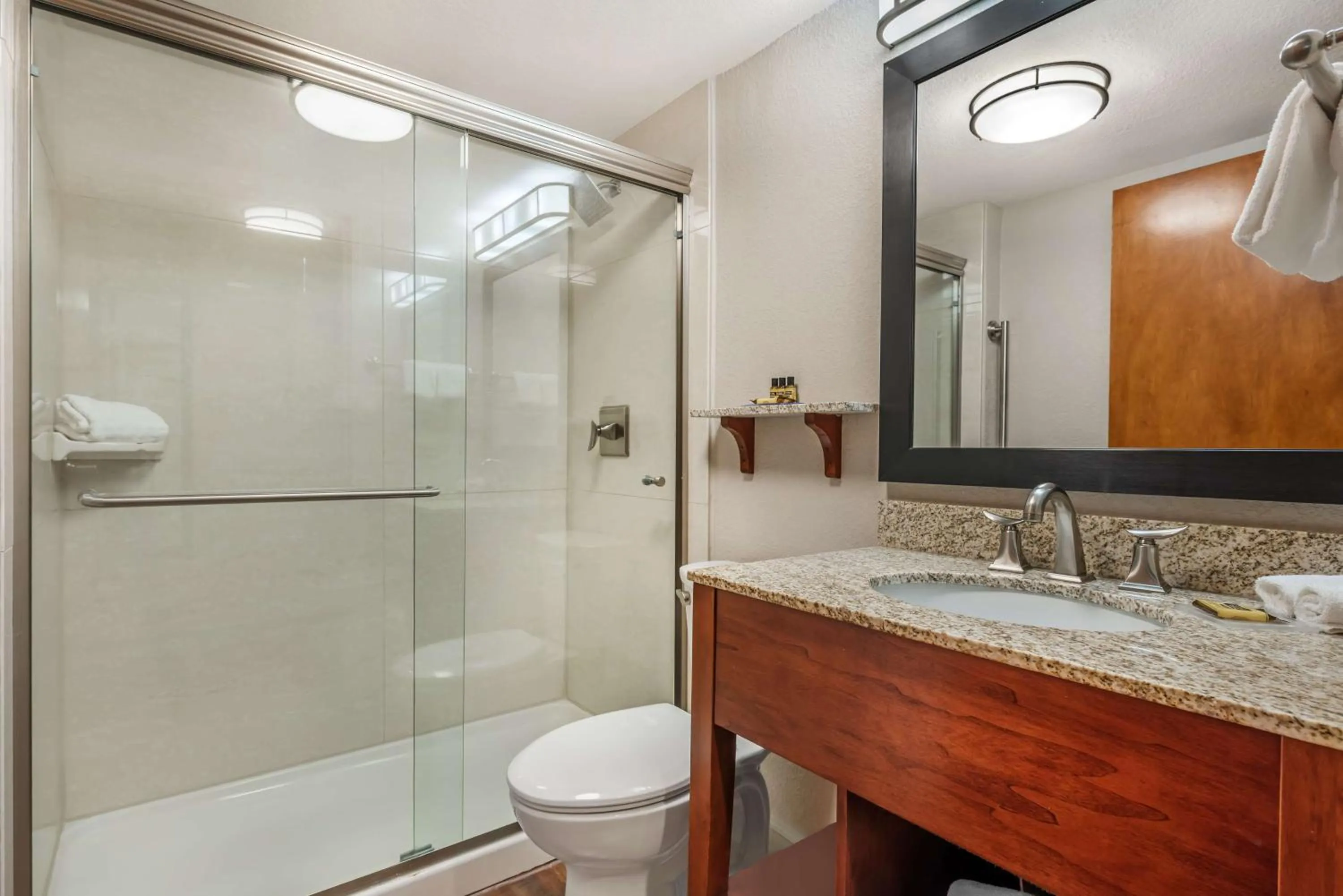 Bathroom in Best Western Plus Peak Vista Inn & Suites