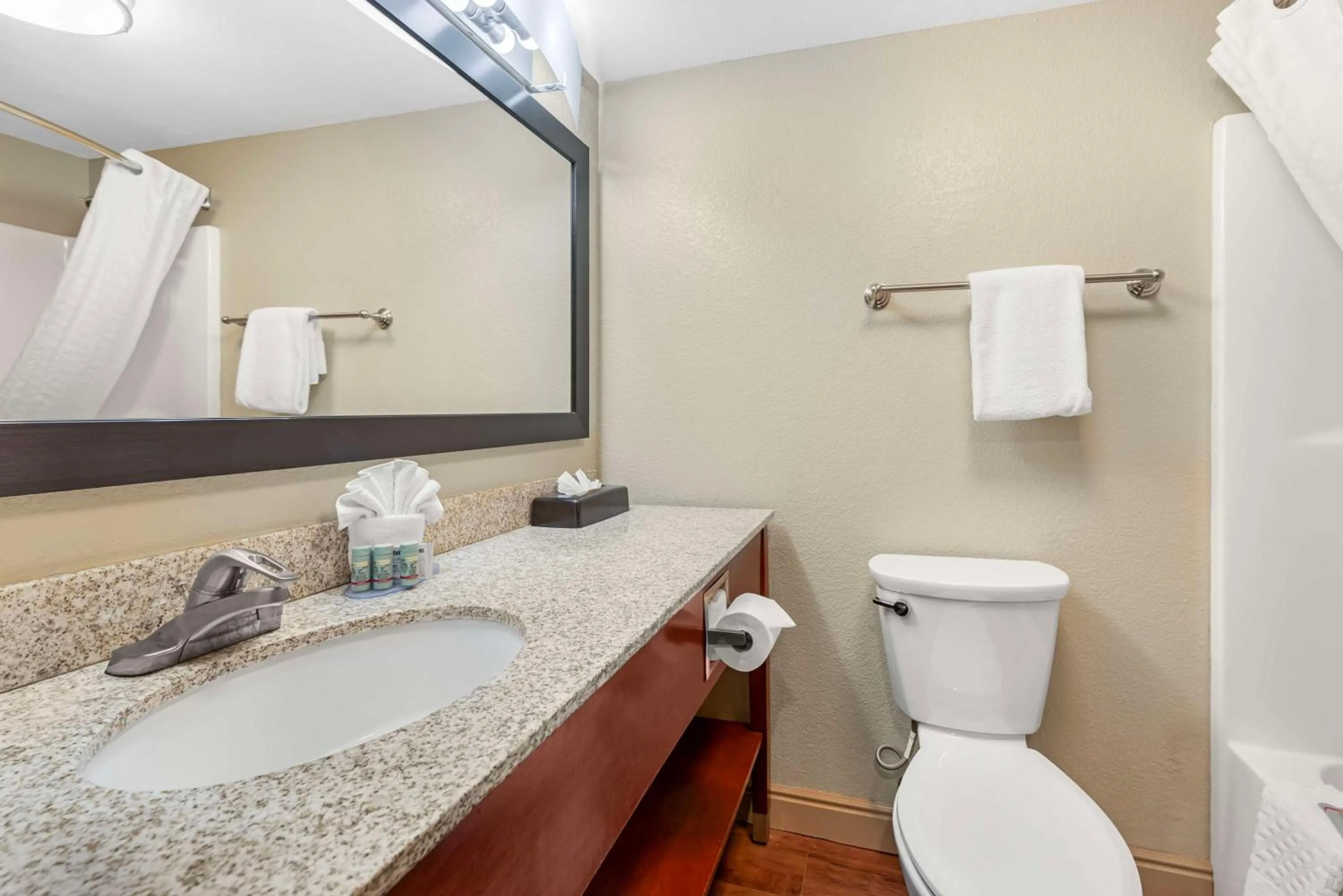 Bathroom in Best Western Executive Inn & Suites