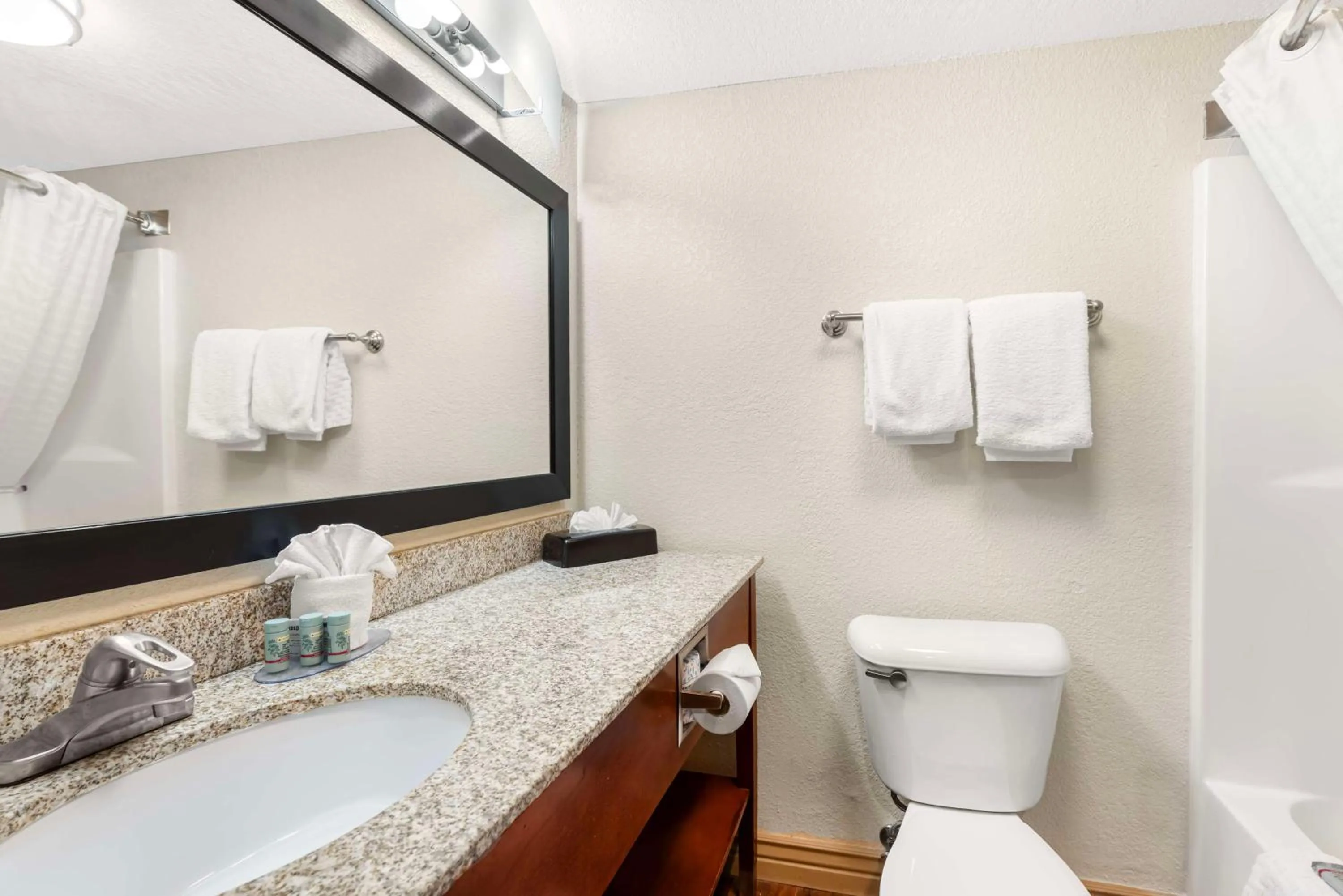 Bathroom in Best Western Executive Inn & Suites