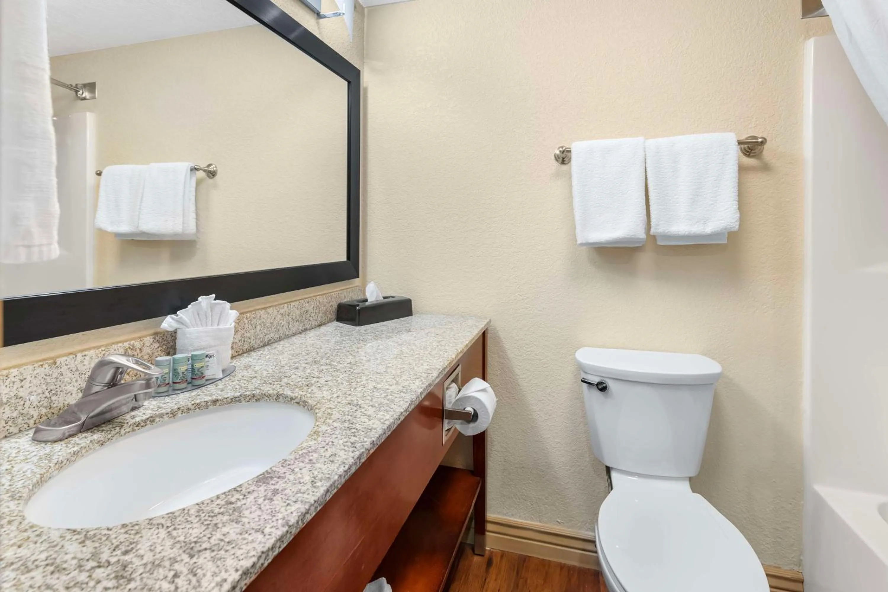 Bathroom in Best Western Executive Inn & Suites