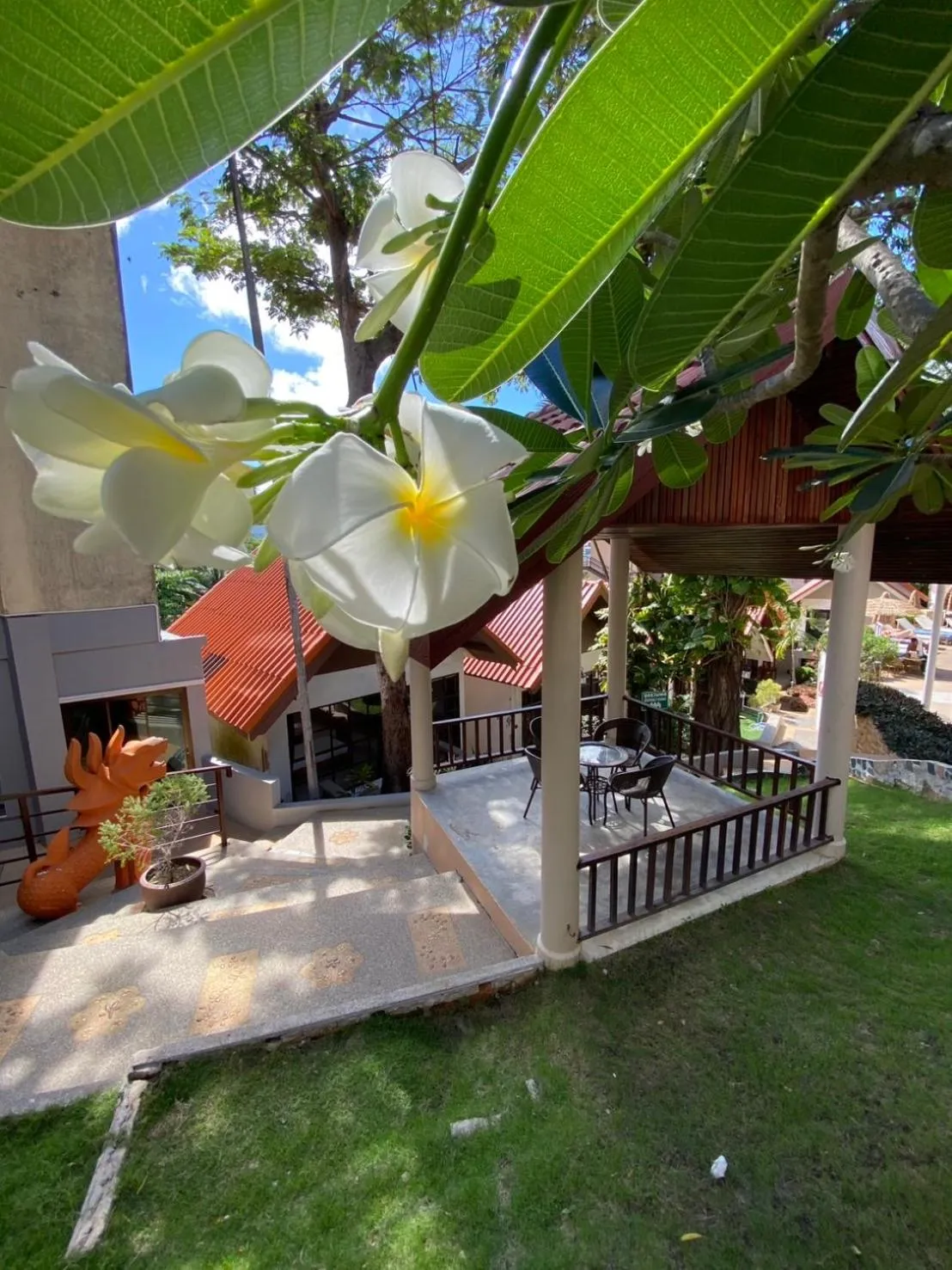 Garden in Club Bamboo Boutique Patong Beach Resort