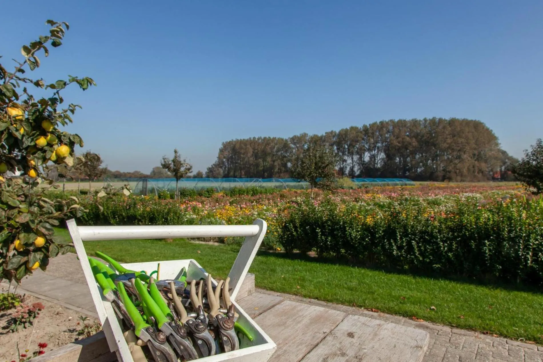 Welcome in - Sint-Anthonijshoek, studio's met eigen tuin, theeschenkerij en pluktuin