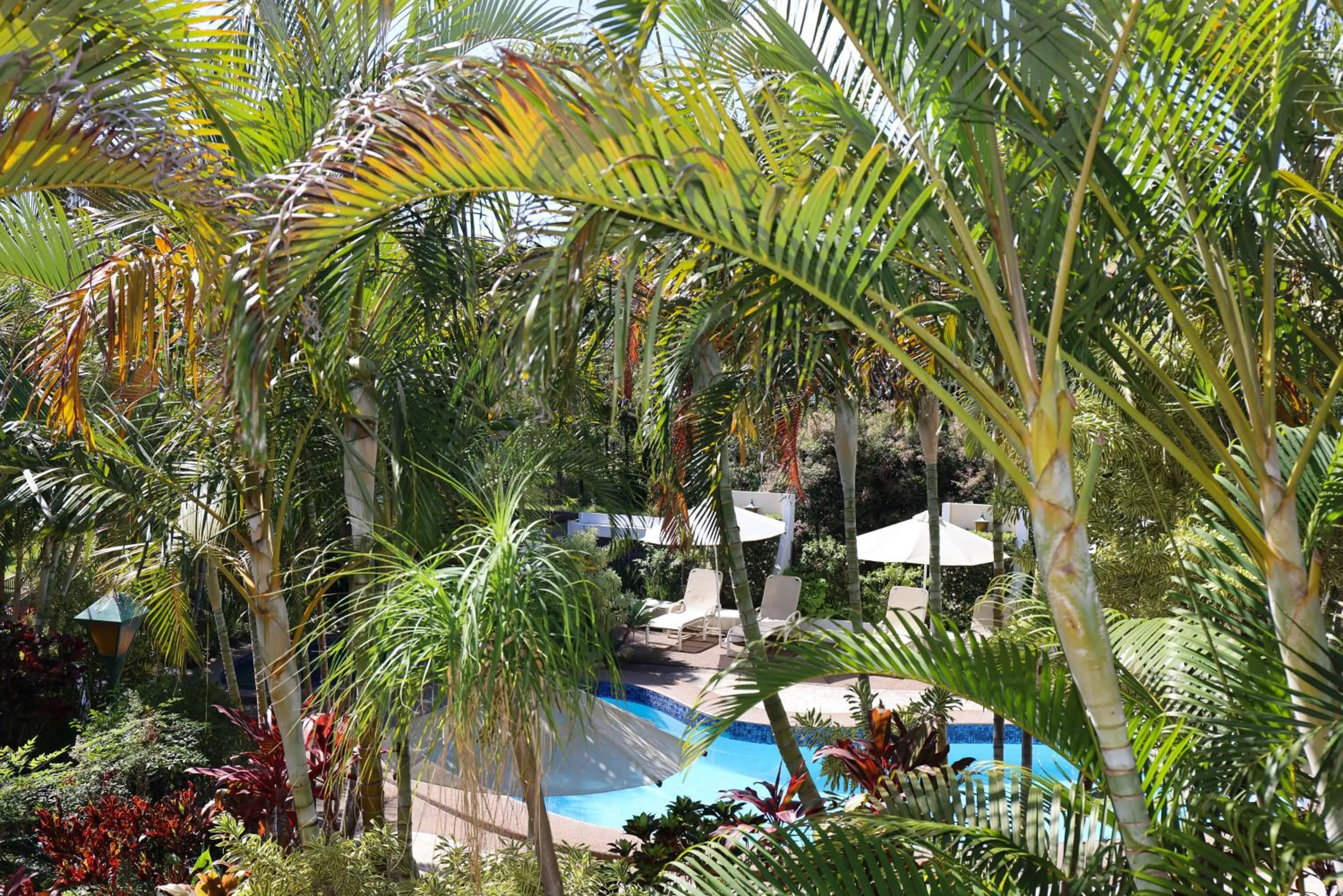 View (from property/room) in Smugglers On The Beach