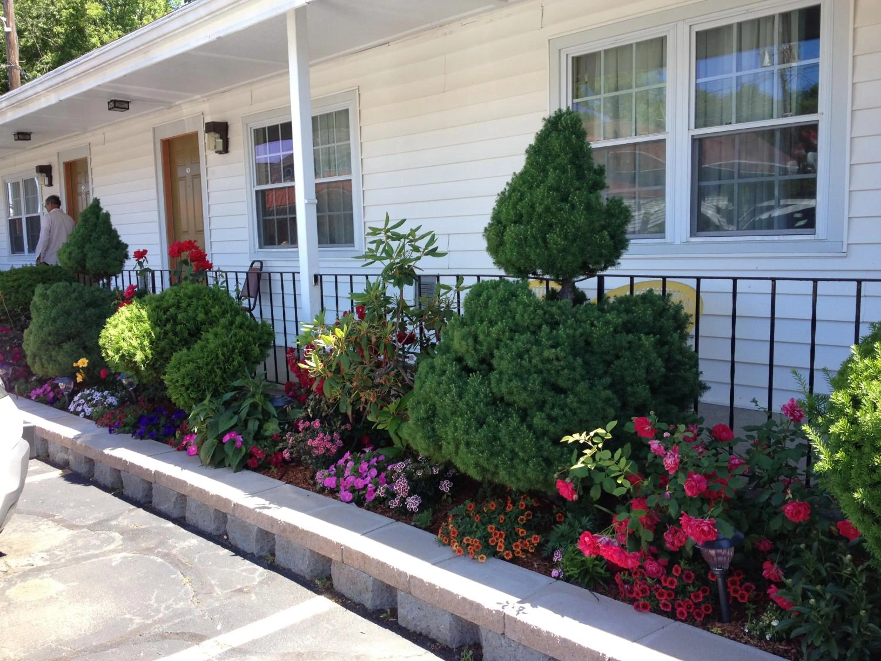 Natural landscape in Chisholm's Motor Inn