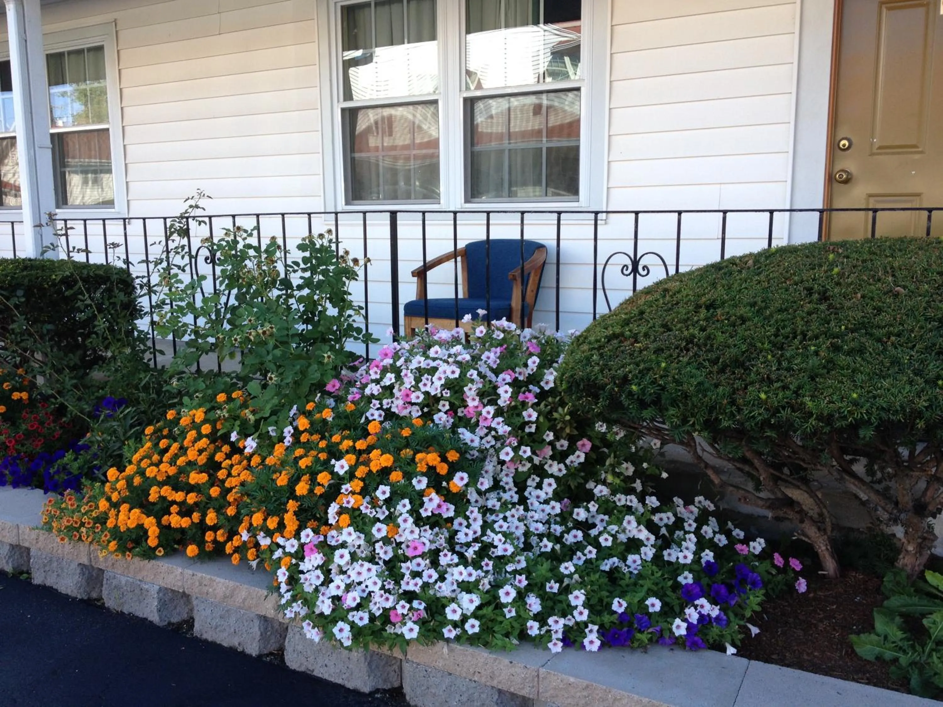 Natural landscape in Chisholm's Motor Inn