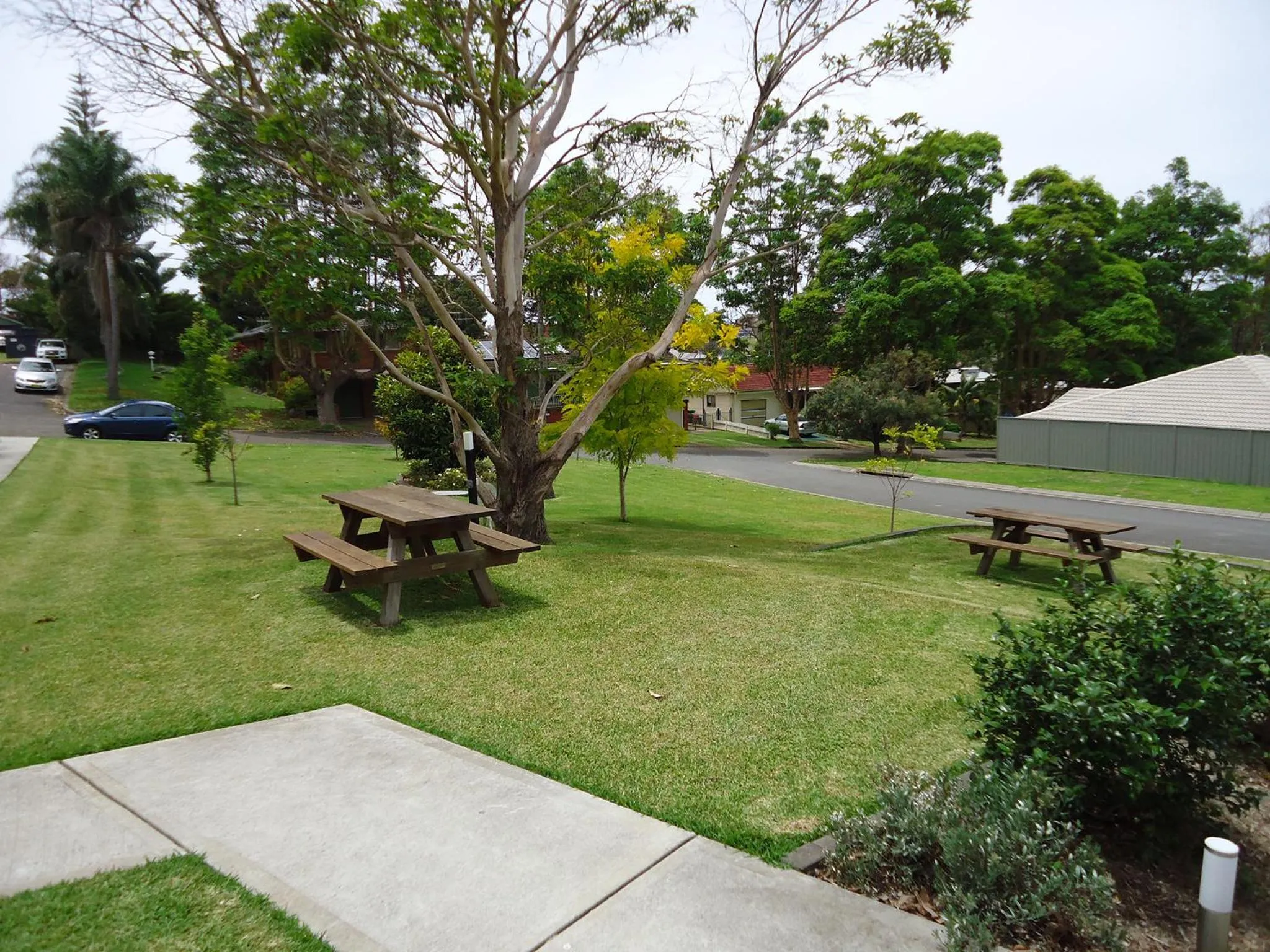 Garden view in Aston Hill Motor Lodge