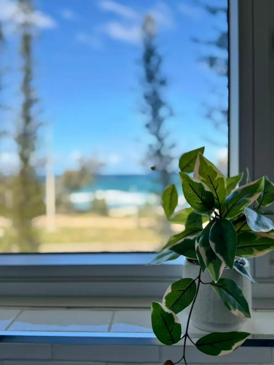 Seacrest Beachfront Apartments Gold Coast