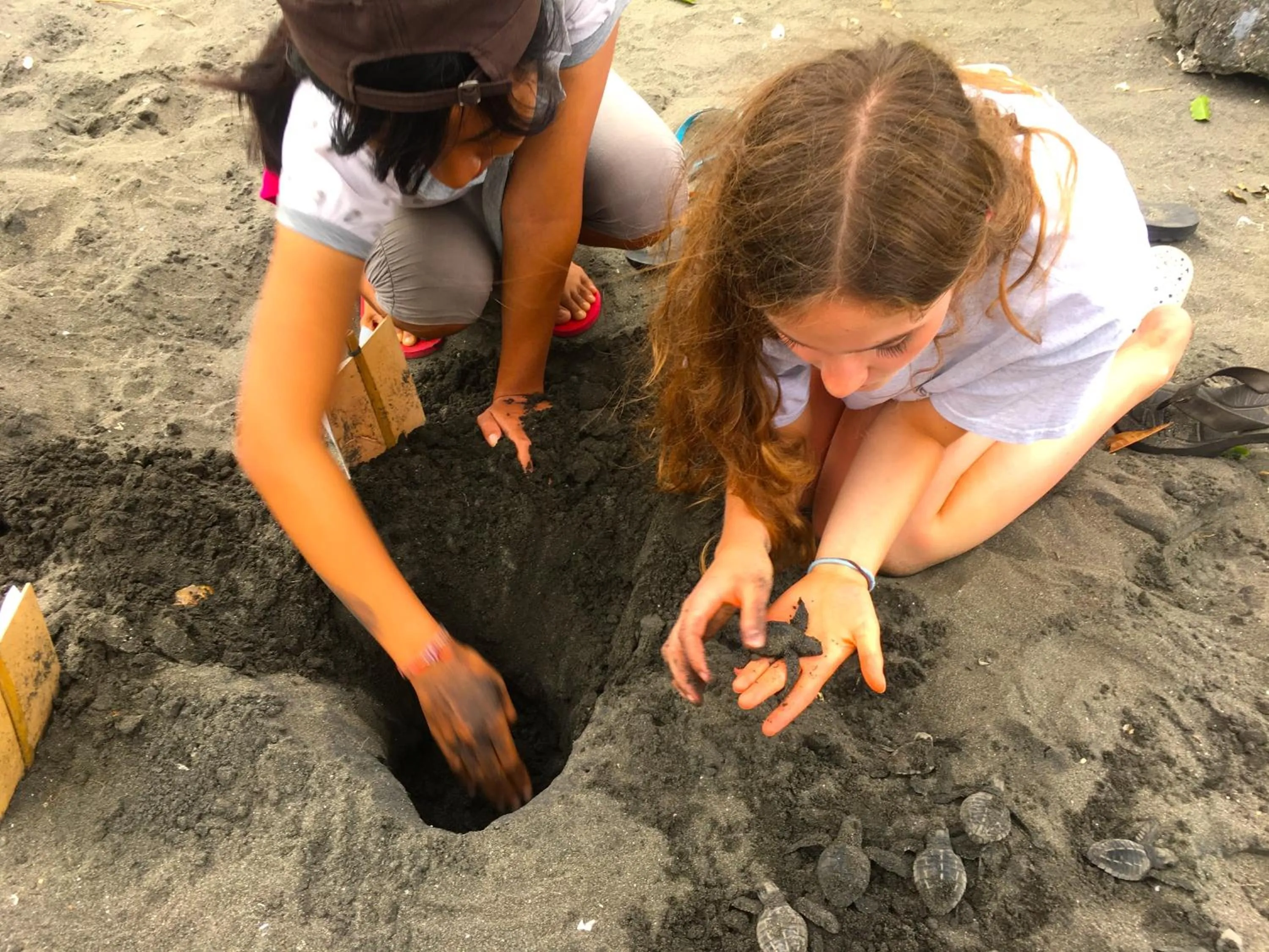 Activities in Puri Dajuma Beach Eco-Resort & Spa