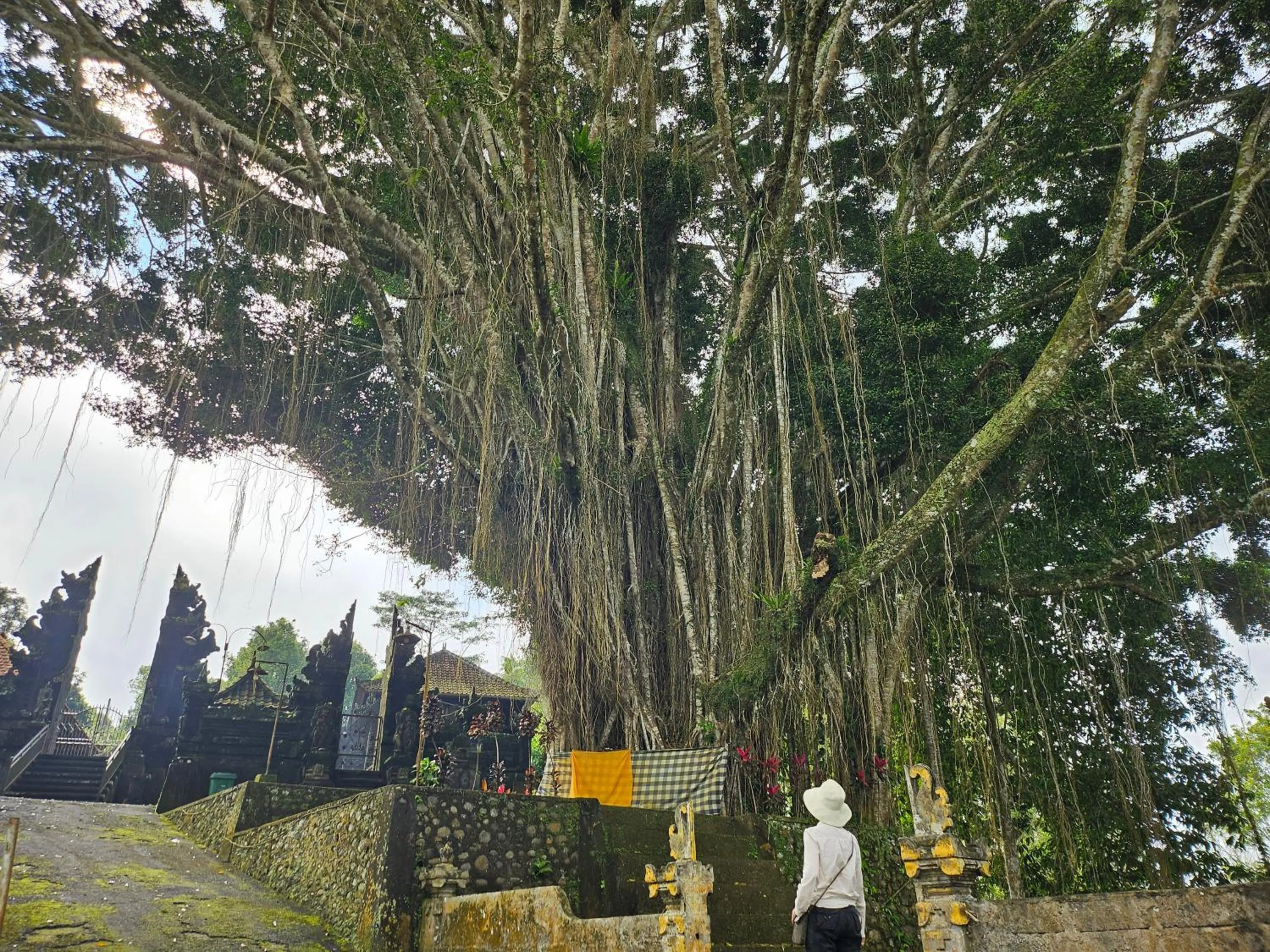 Activities in Puri Dajuma Beach Eco-Resort & Spa