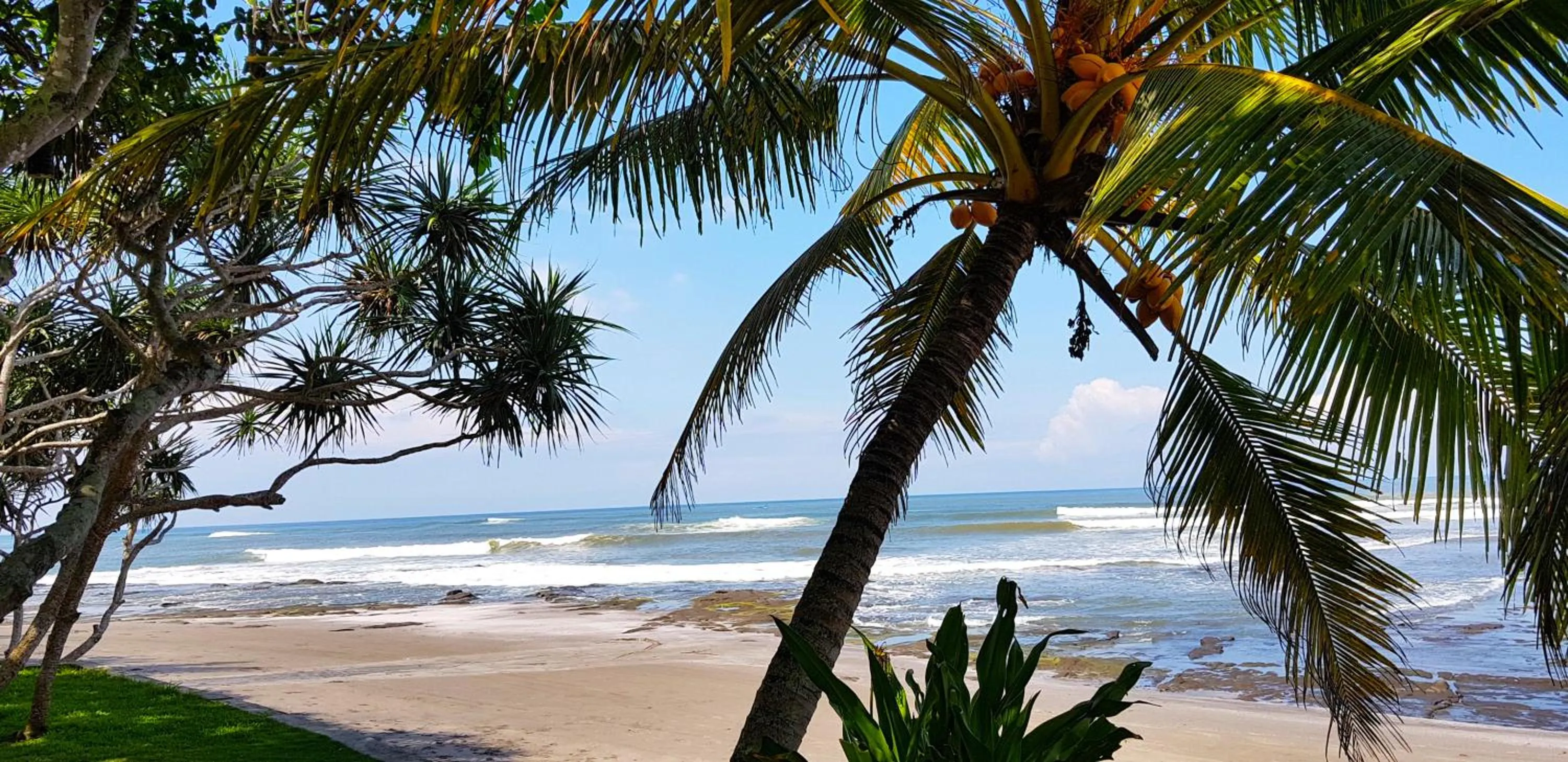 Beach in Puri Dajuma Beach Eco-Resort & Spa