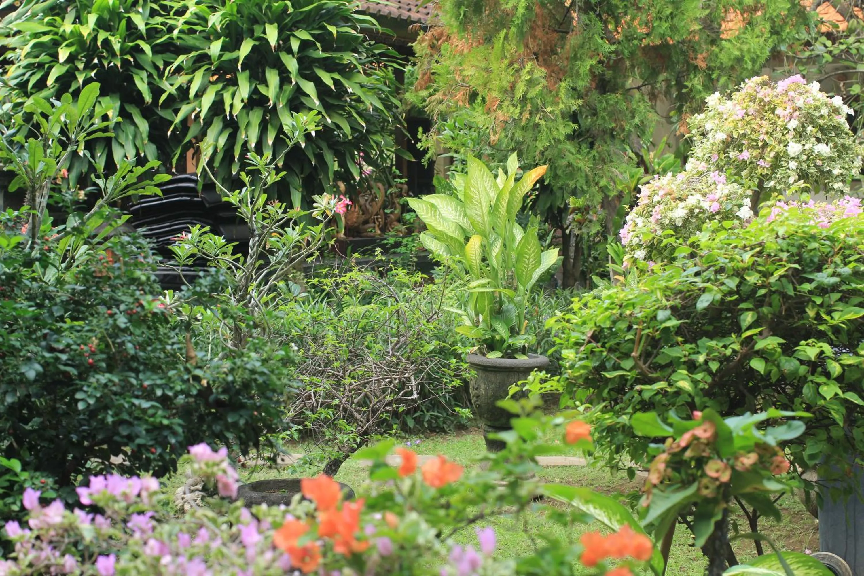 Garden in Bakung Sari Resort