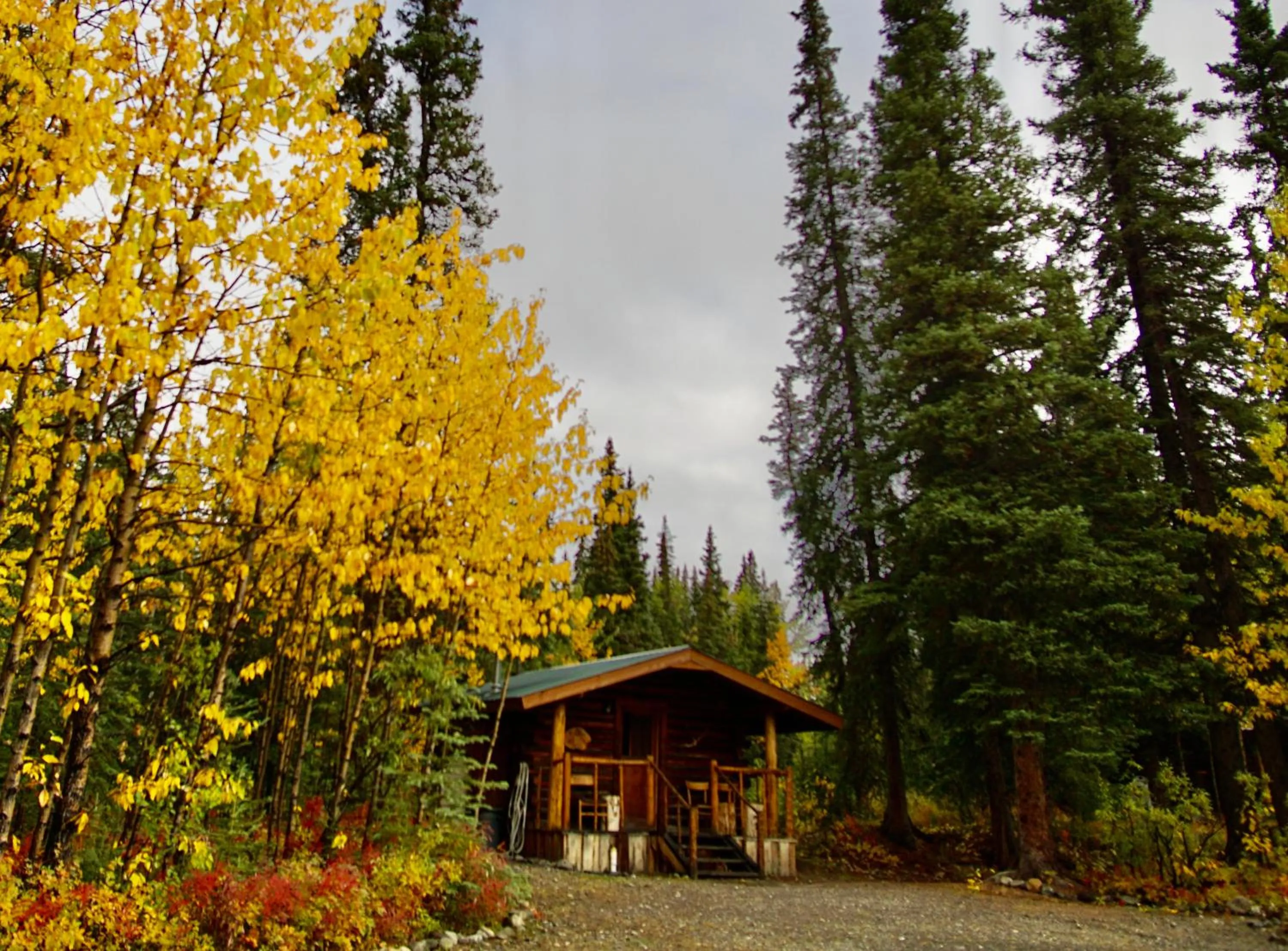 Spring in Carlo Creek Cabins
