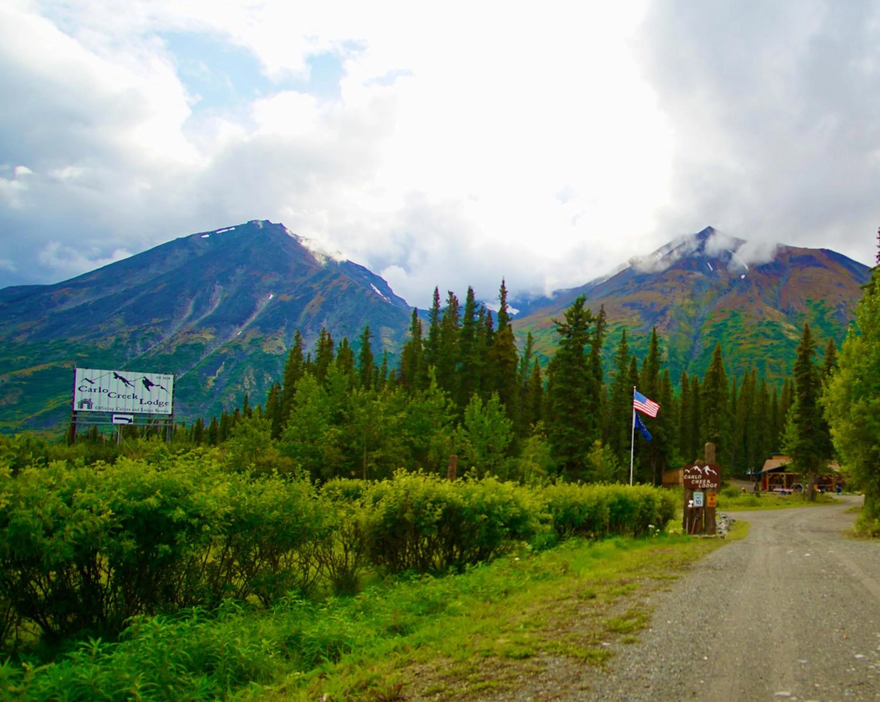 Natural landscape in Carlo Creek Cabins