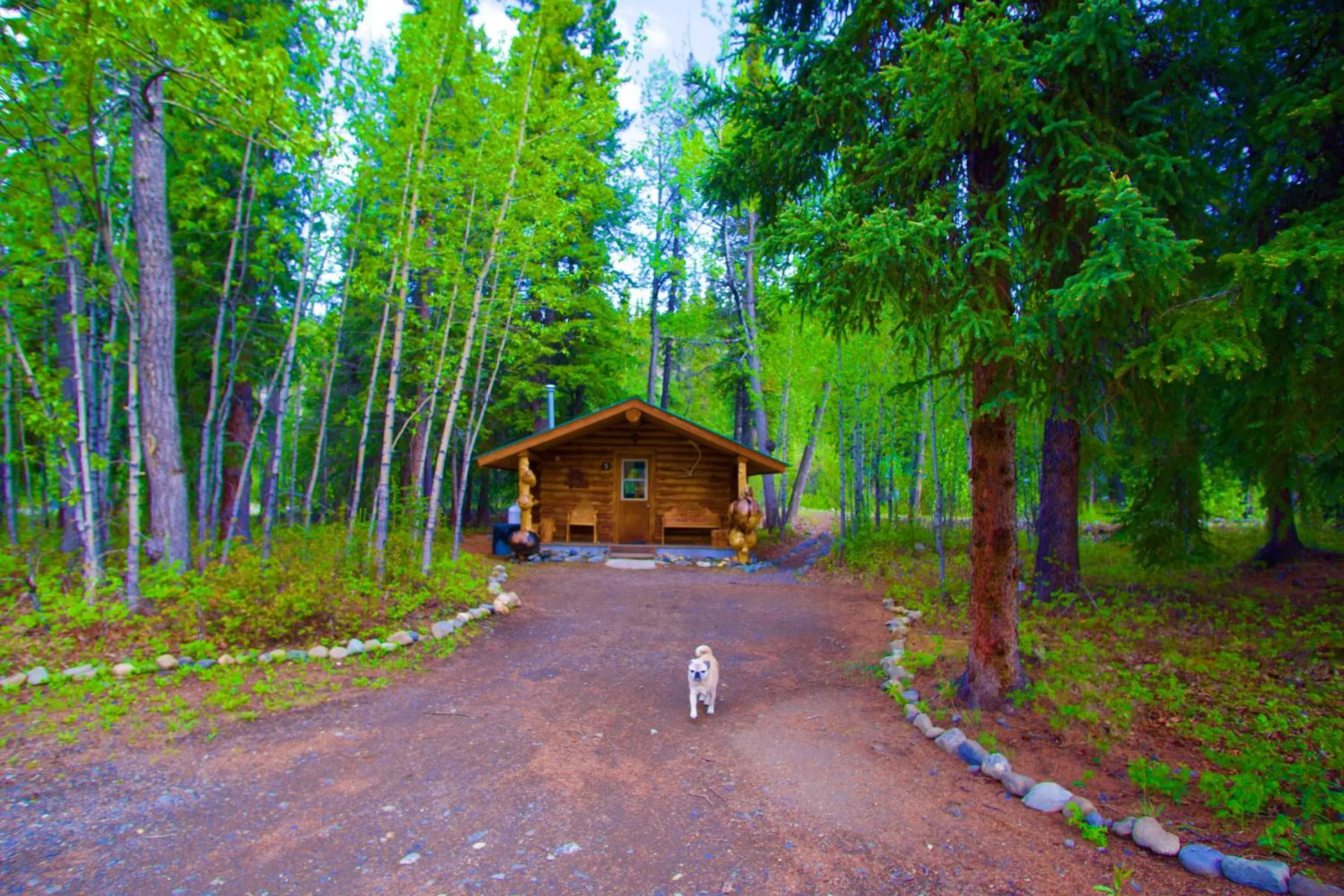 Carlo Creek Cabins Carlo Creek Cabins
