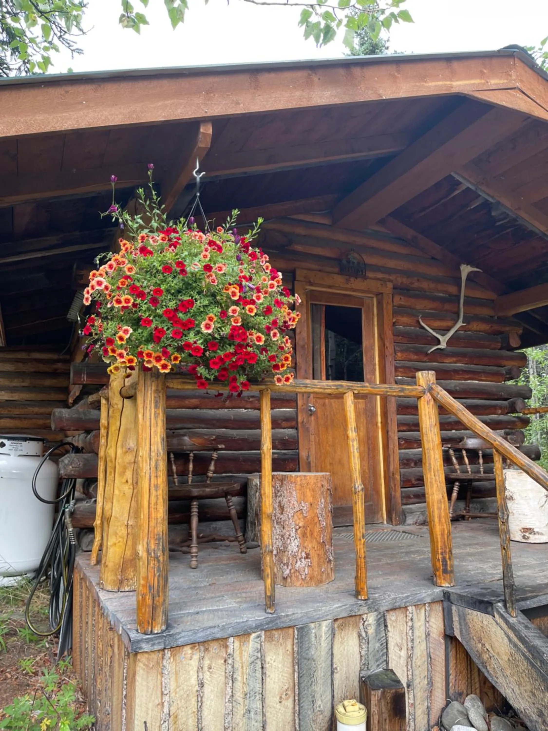 Carlo Creek Cabins