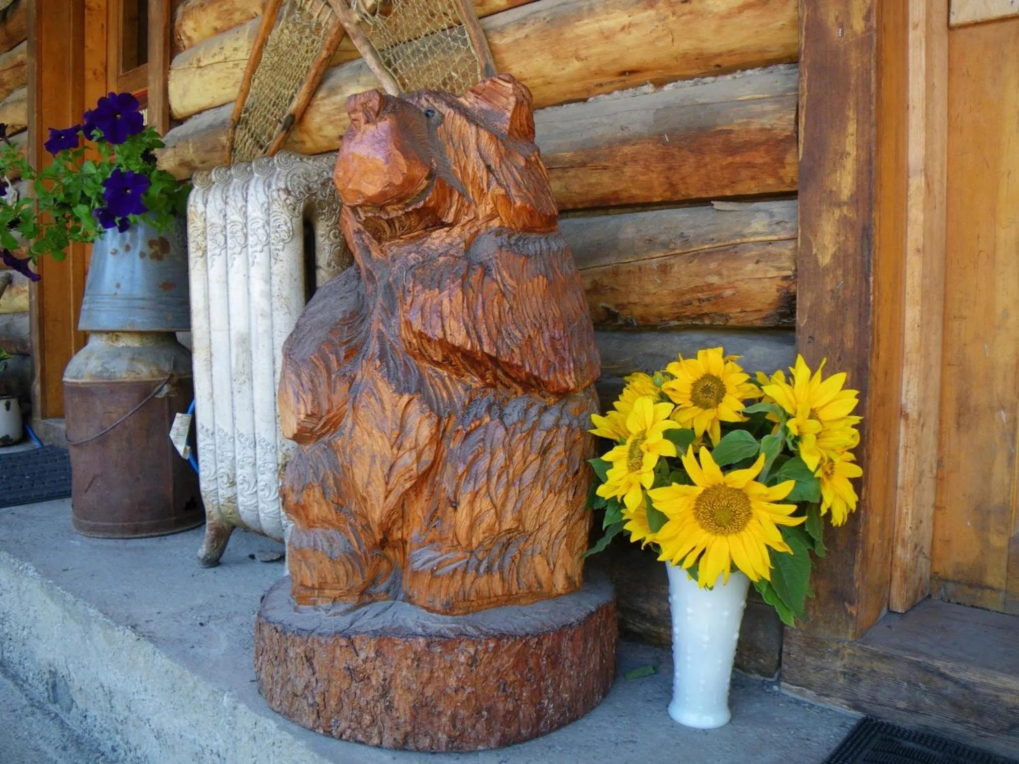 Patio in Carlo Creek Cabins