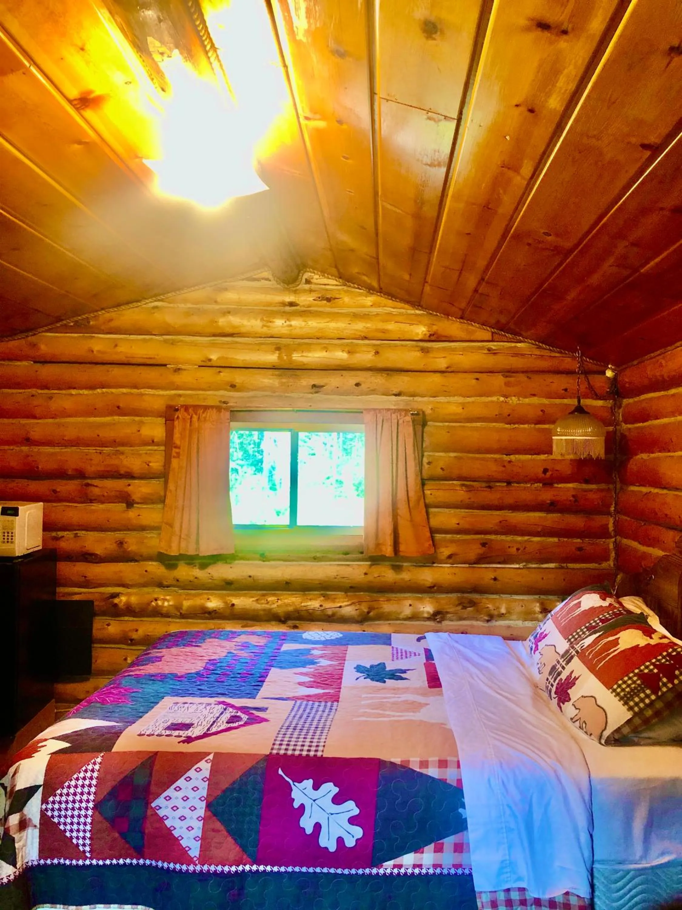Photo of the whole room, Bed in Carlo Creek Cabins