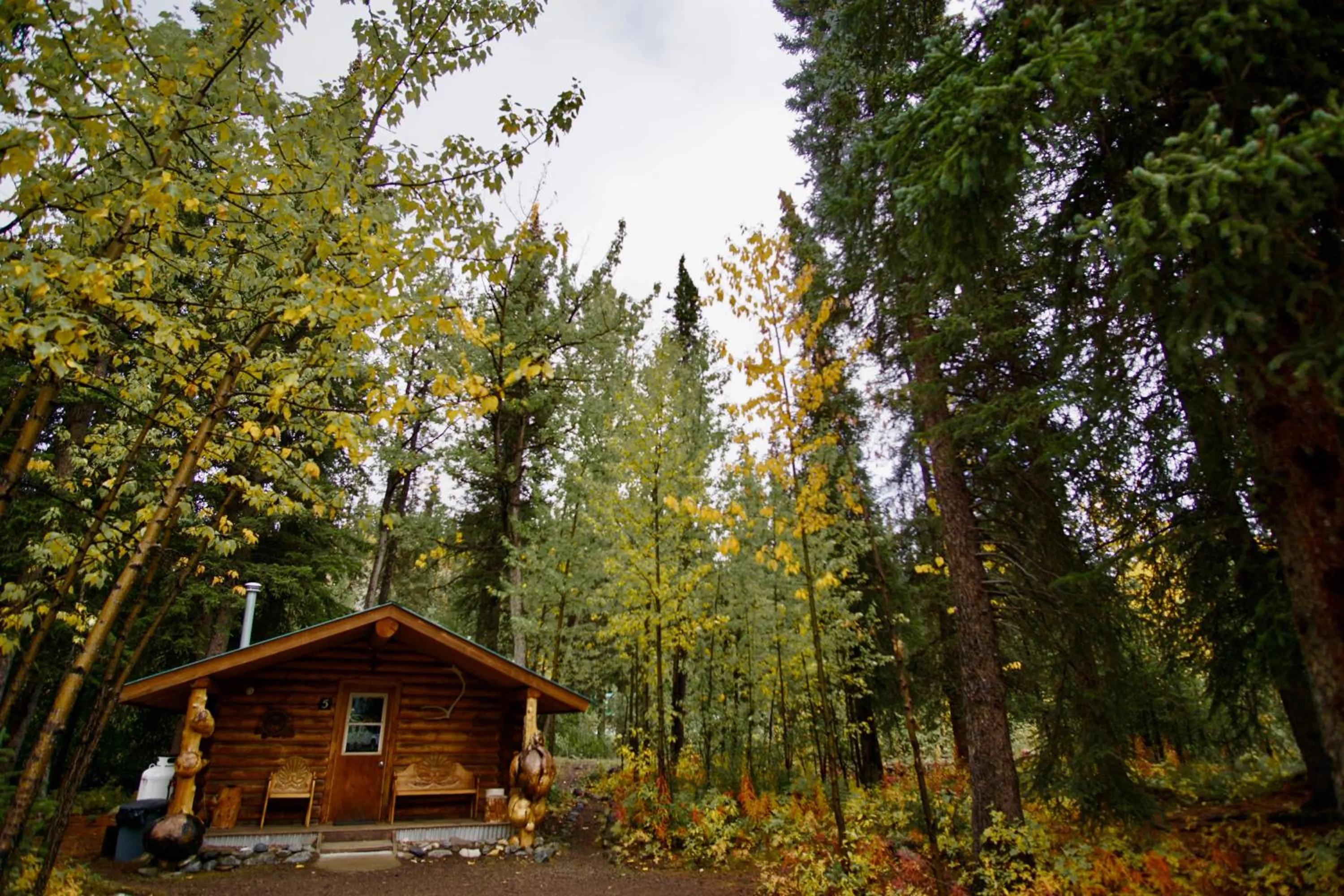 Property building in Carlo Creek Cabins