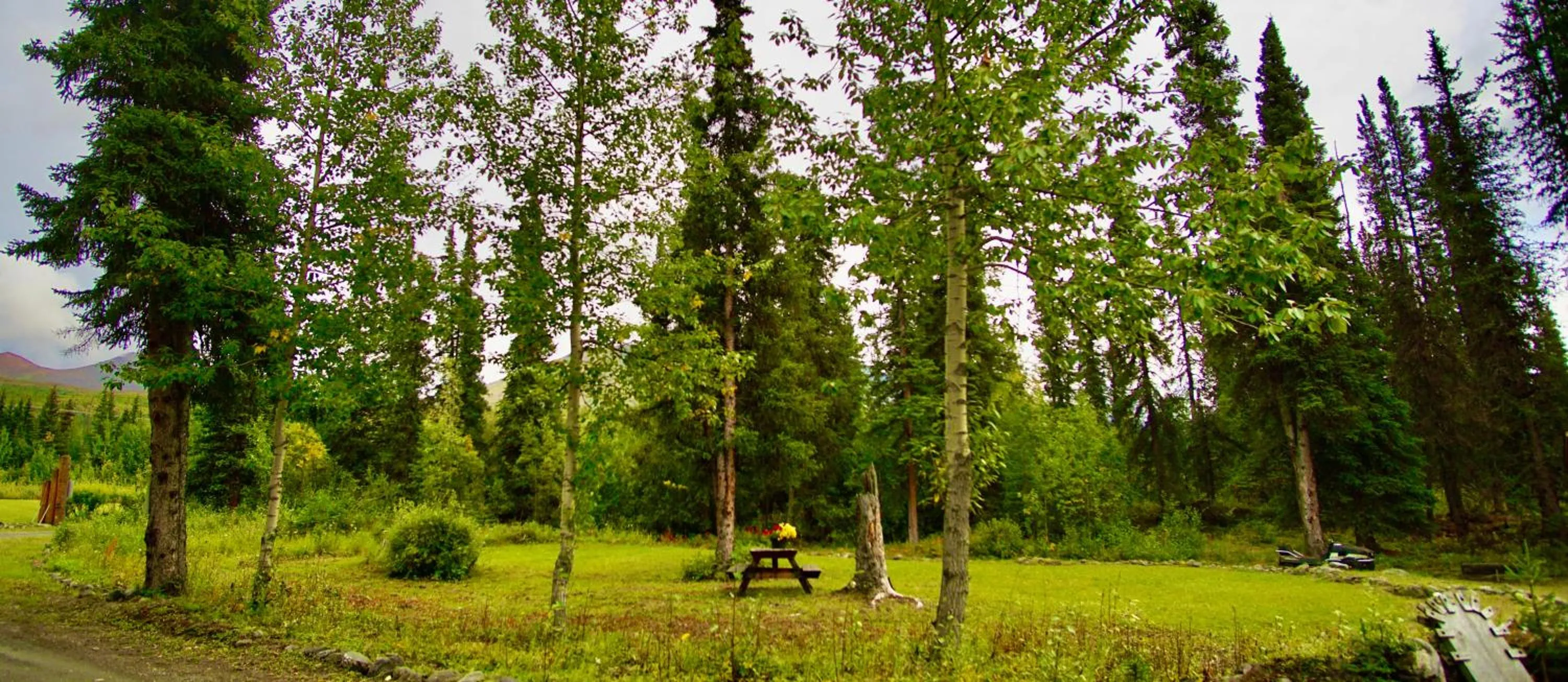 Garden view in Carlo Creek Cabins