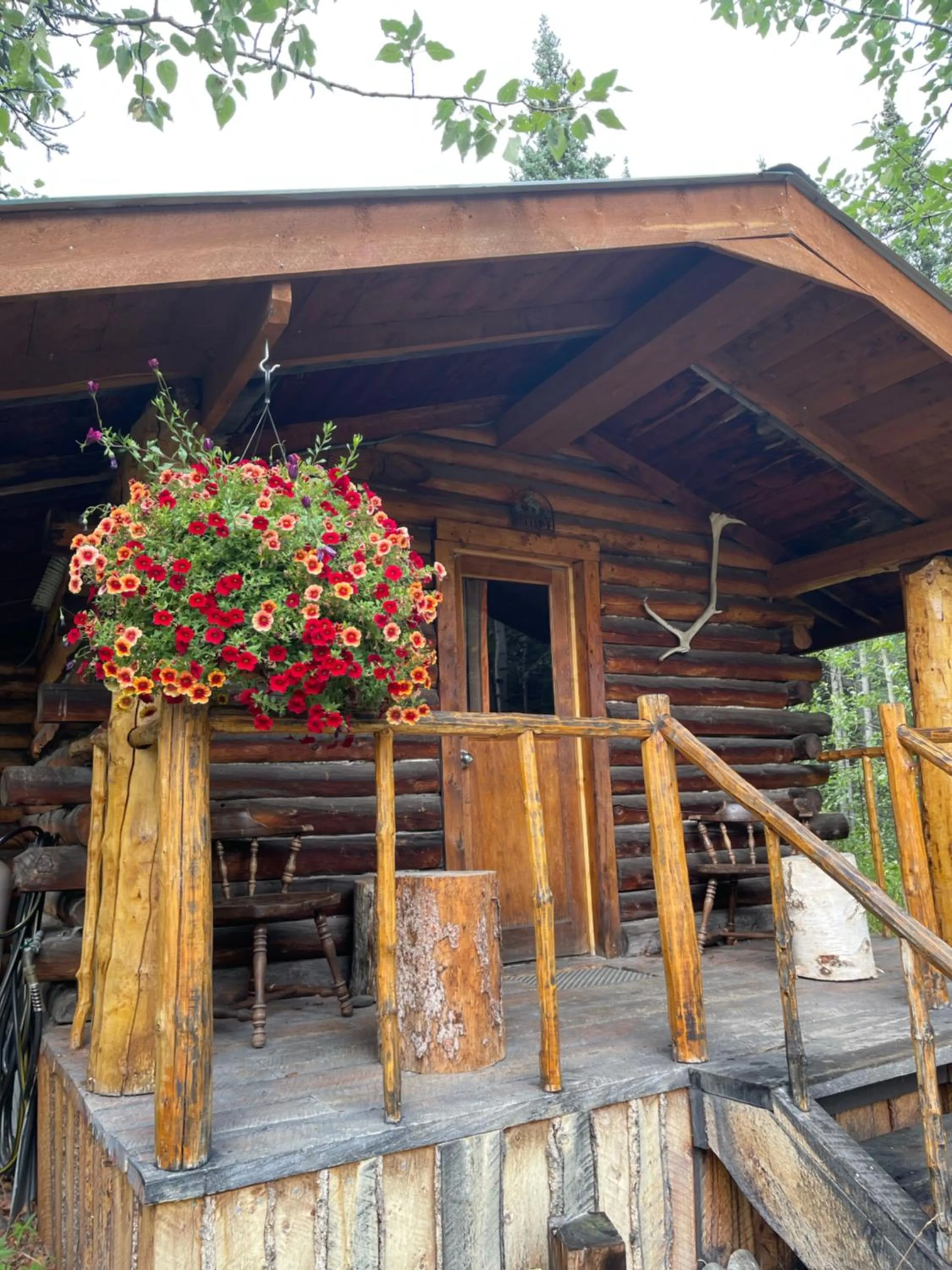 Facade/entrance in Carlo Creek Cabins
