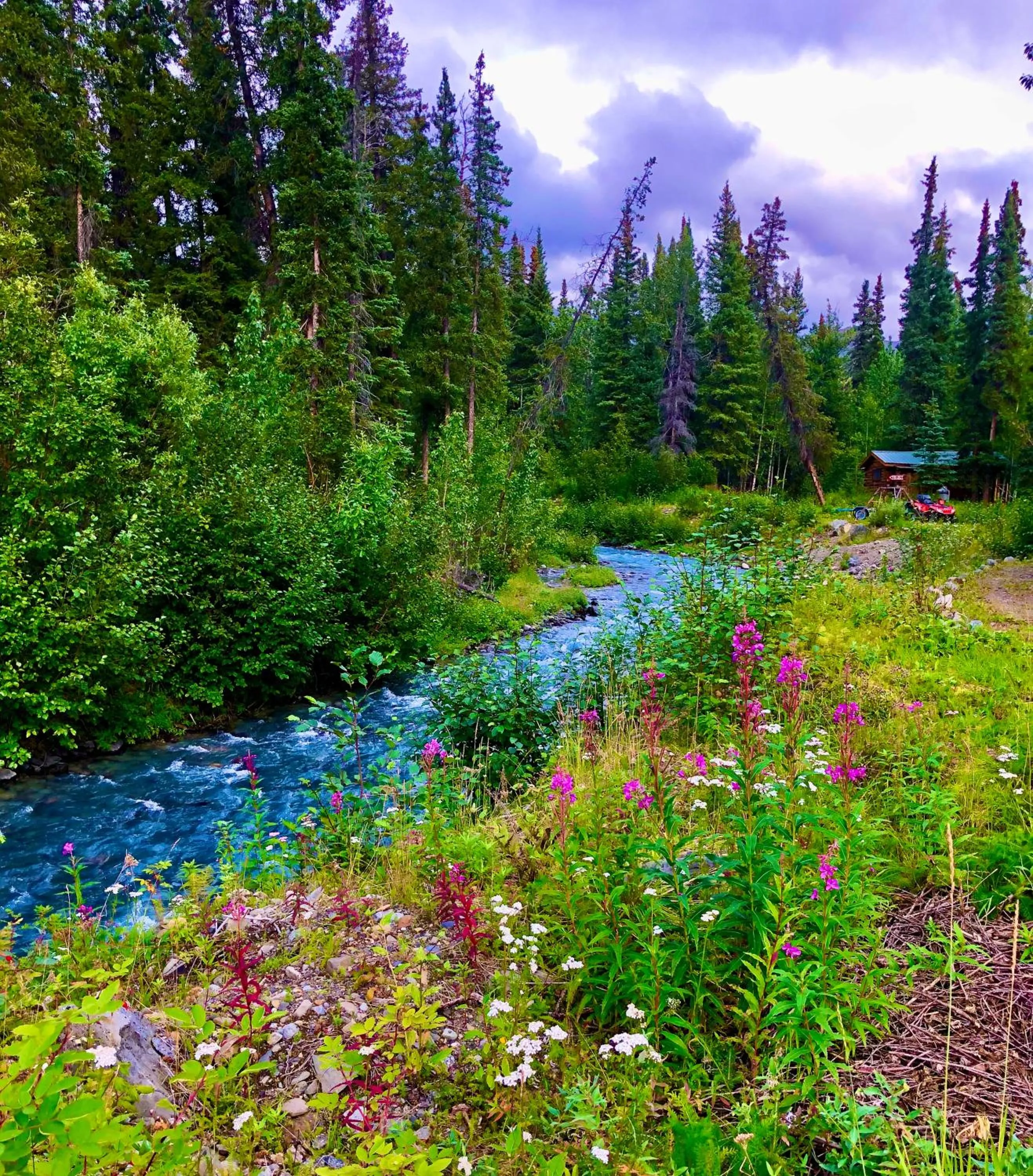 Activities in Carlo Creek Cabins