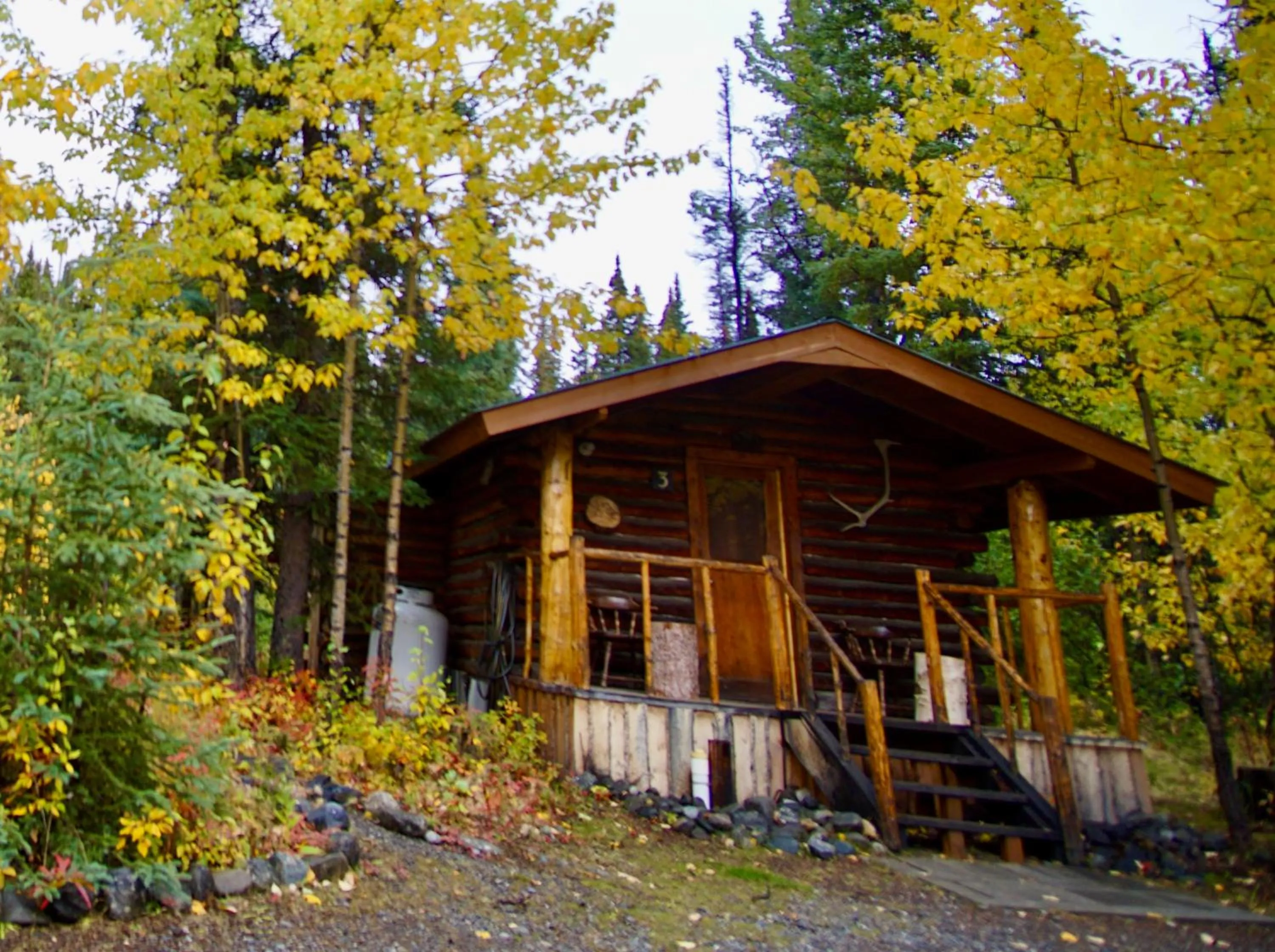 Property building in Carlo Creek Cabins