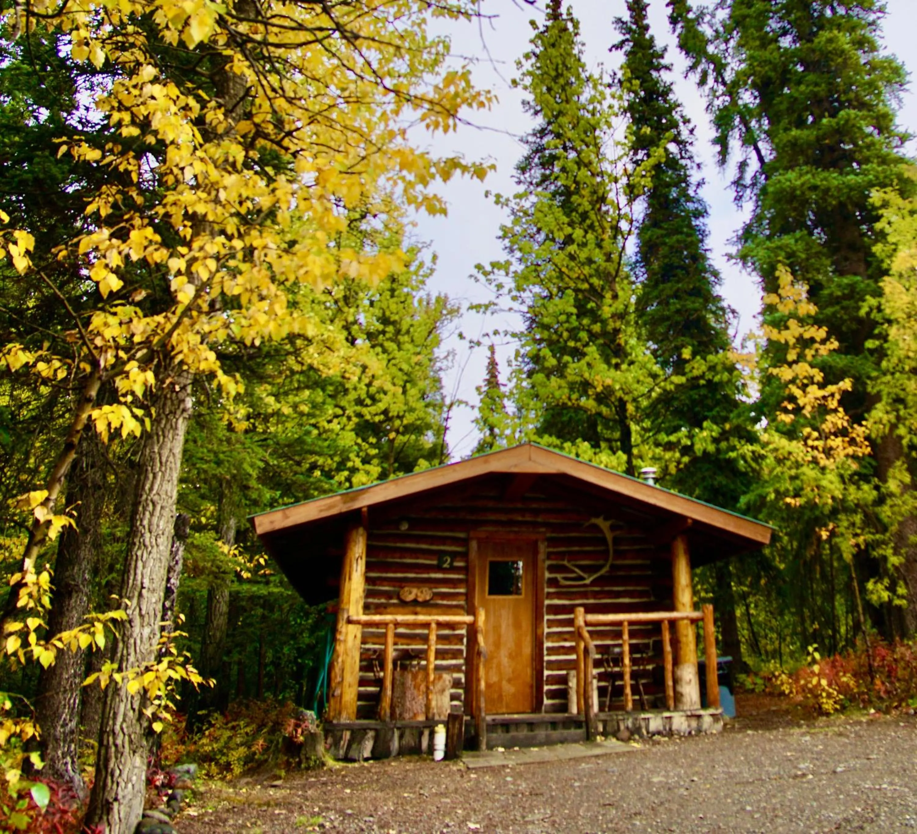 River view in Carlo Creek Cabins