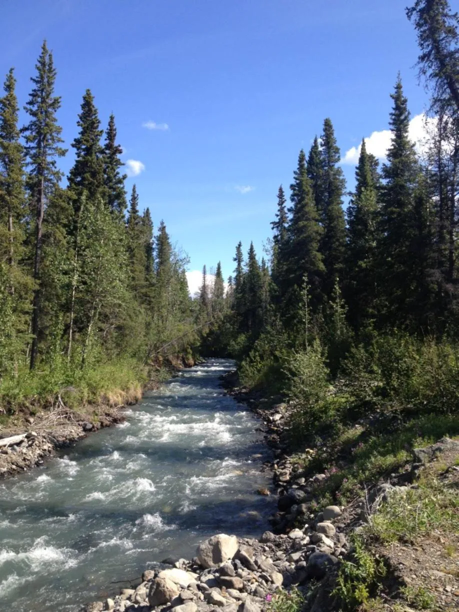 Natural landscape in Carlo Creek Cabins