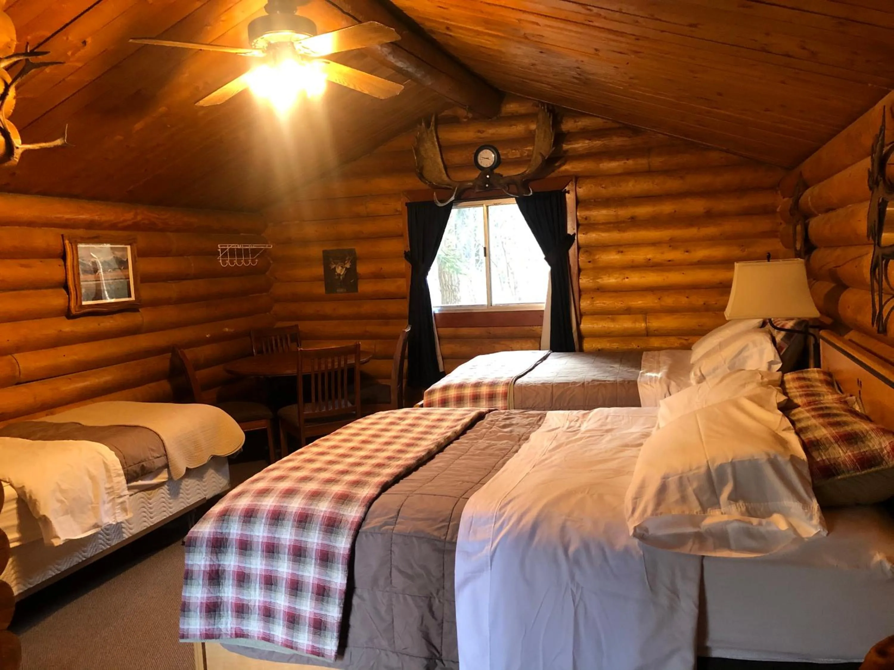 Photo of the whole room, Bed in Carlo Creek Cabins