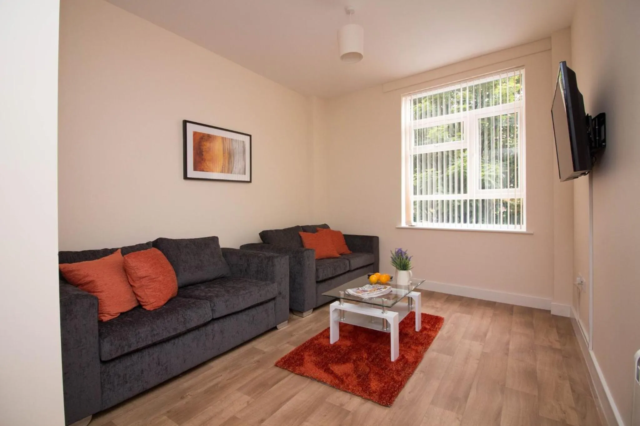 Living room in DPV - Above Bar Street Apartments