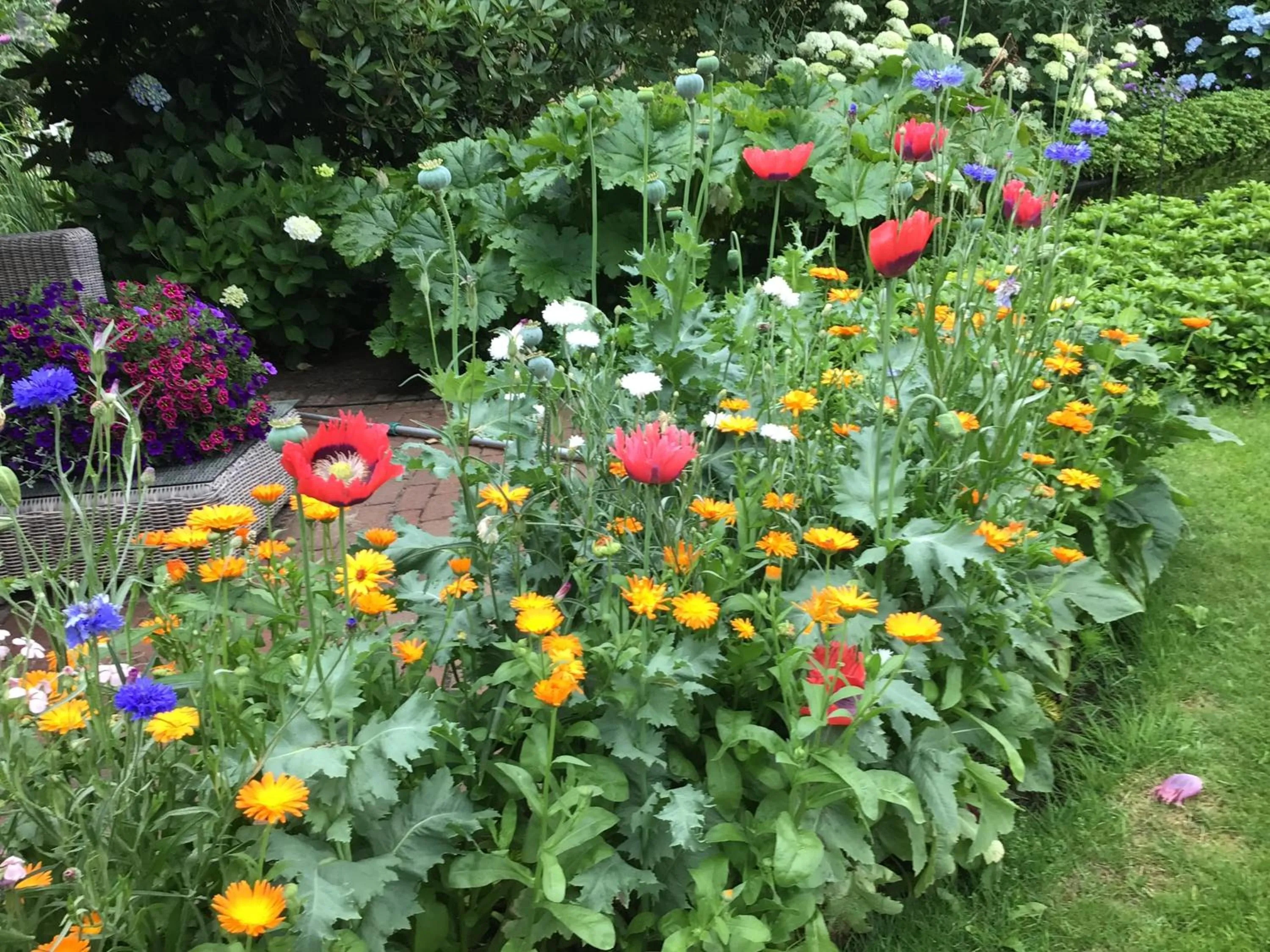 Appartement de Tuinkamer