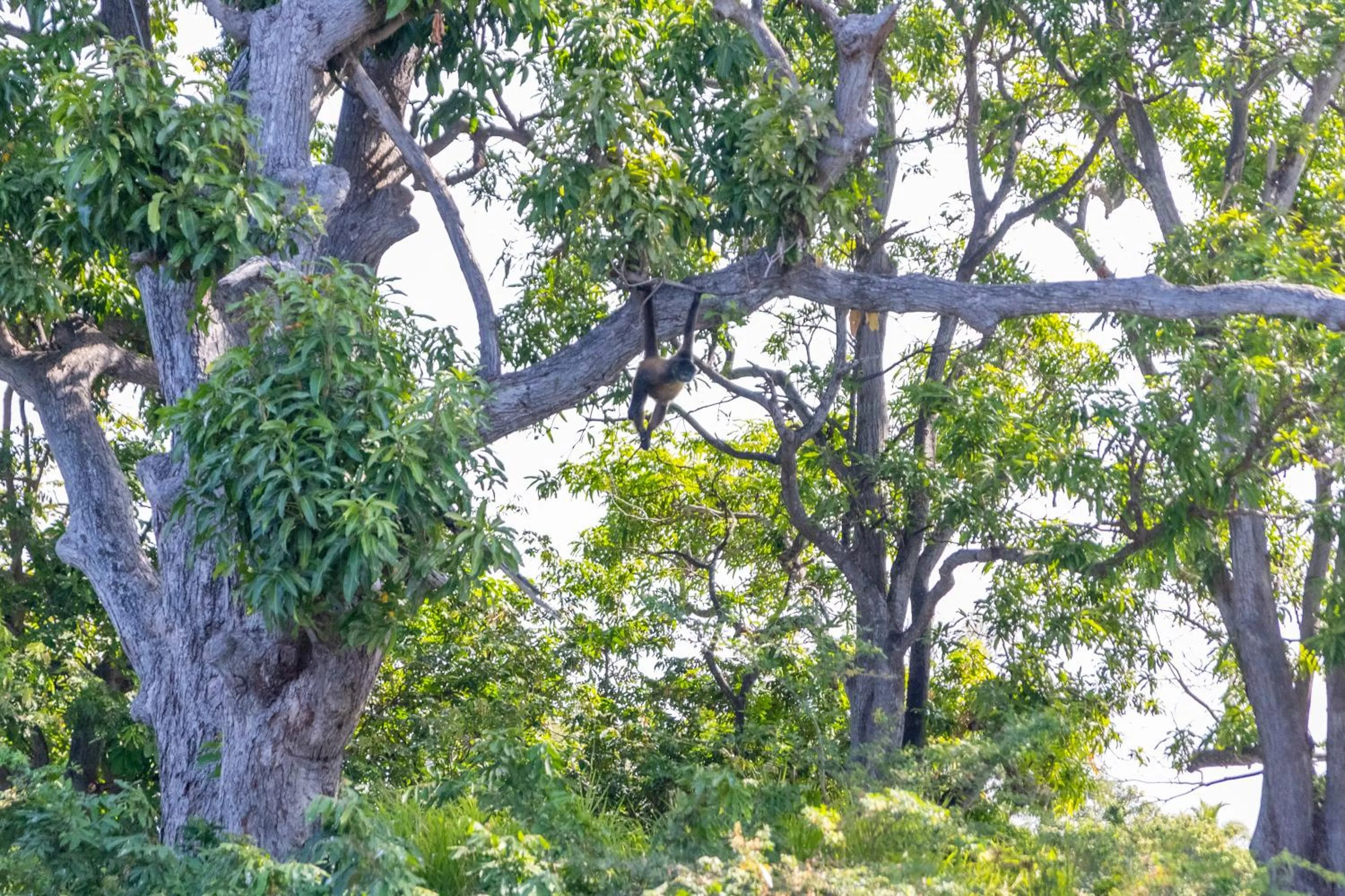 Natural landscape in Socialtel Granada