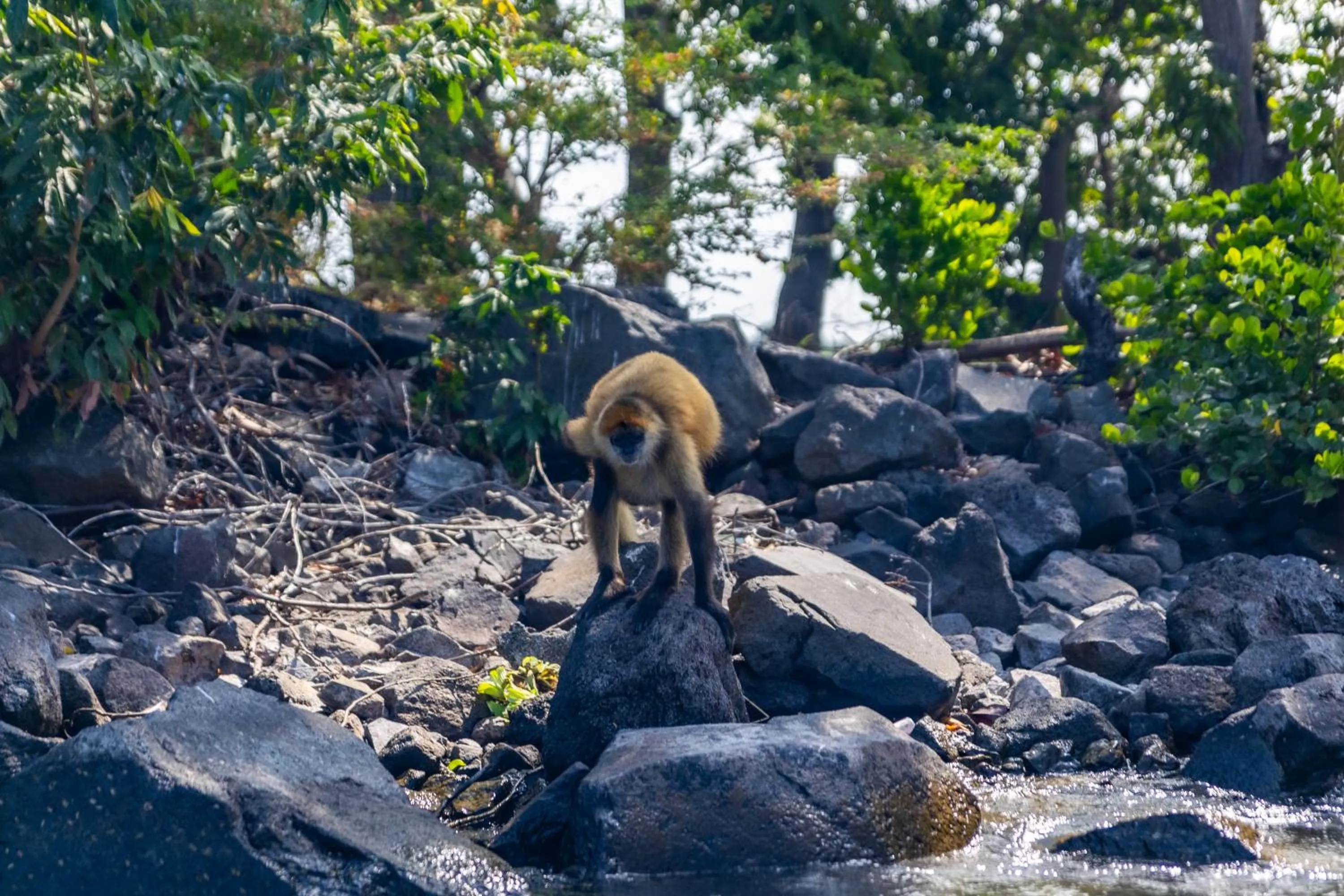 Natural landscape in Socialtel Granada