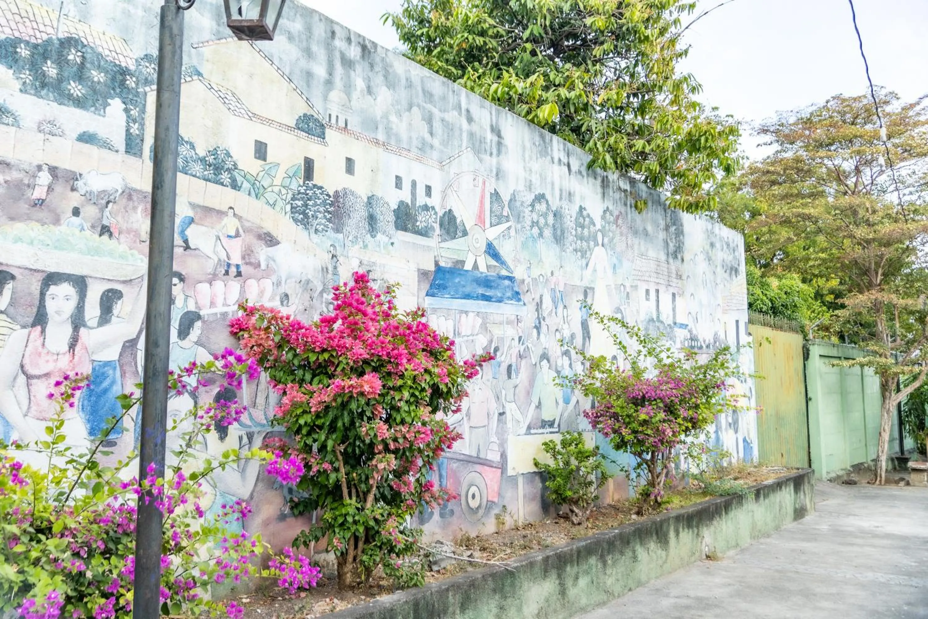 Garden view in Socialtel Granada