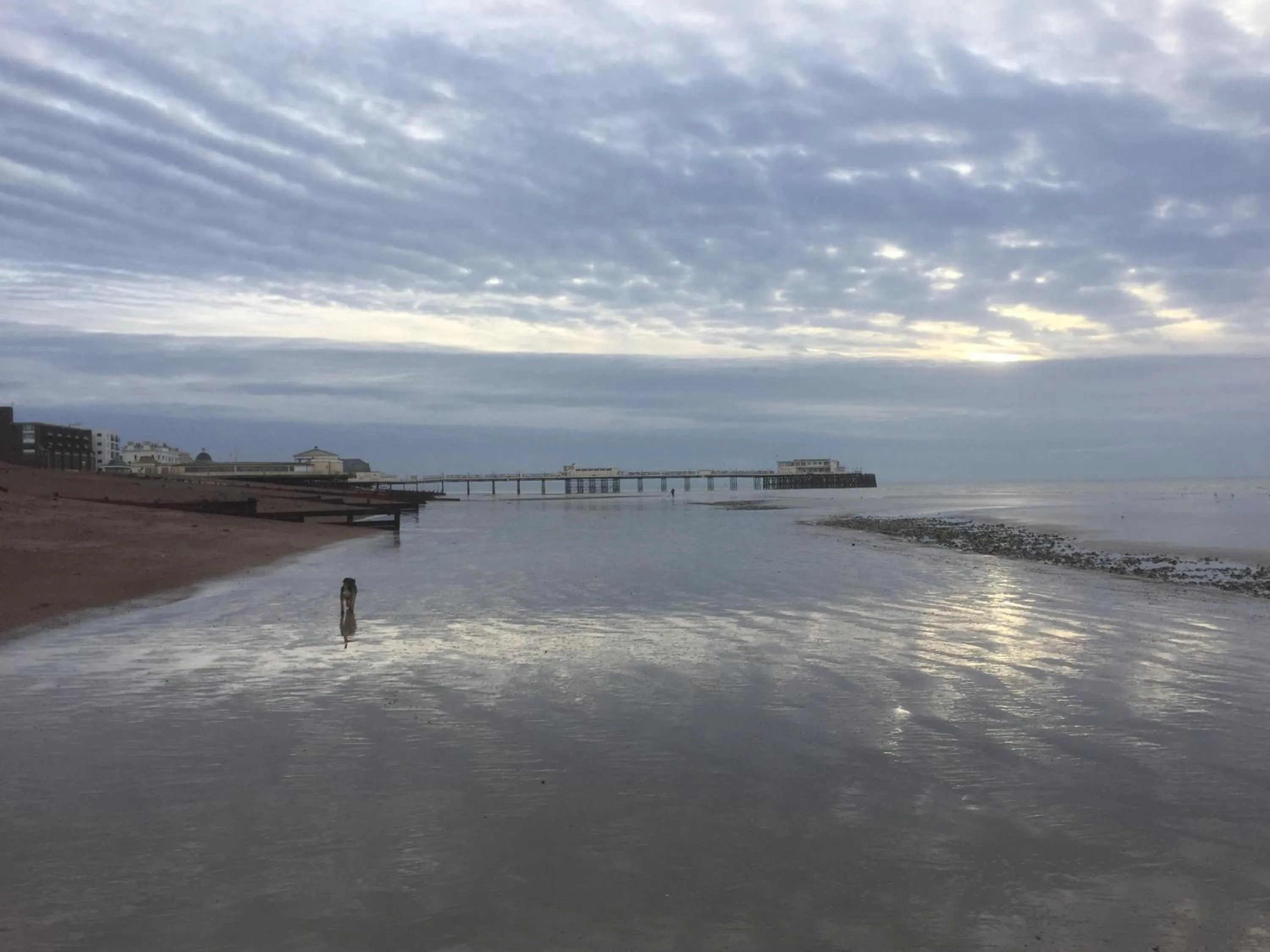 Natural landscape in Marine View Guest House