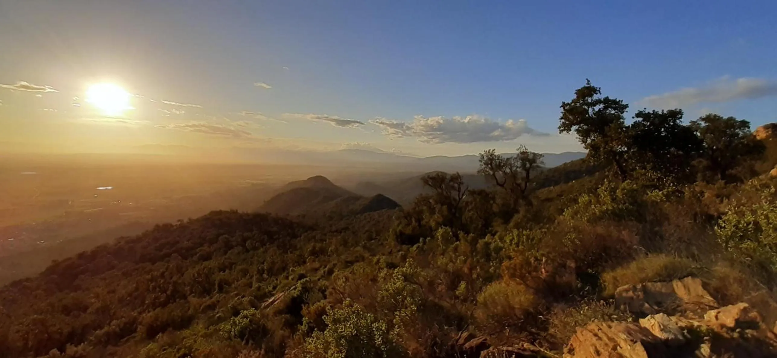 Natural landscape in Suite & Spa Panoramic Olivars