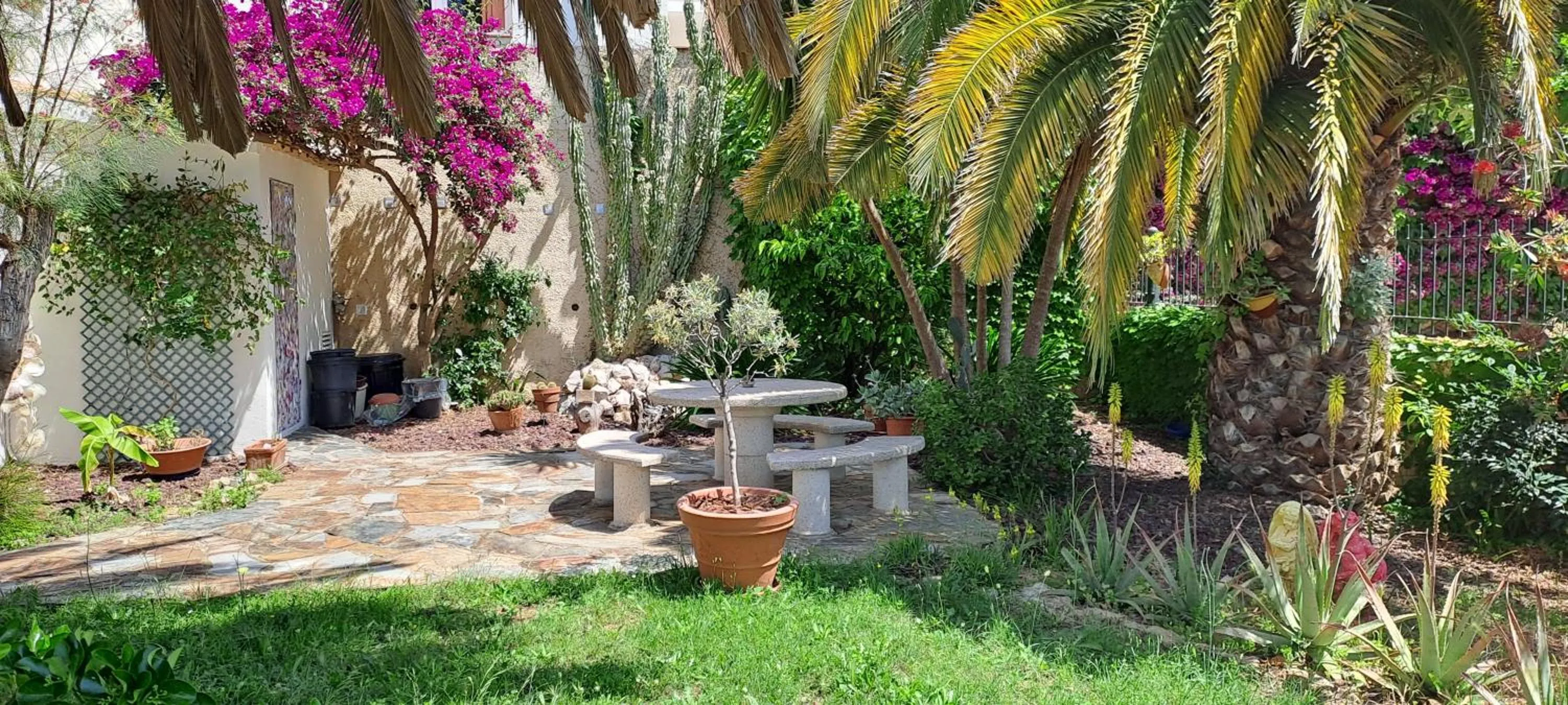 Spring in Suite & Spa Panoramic Olivars