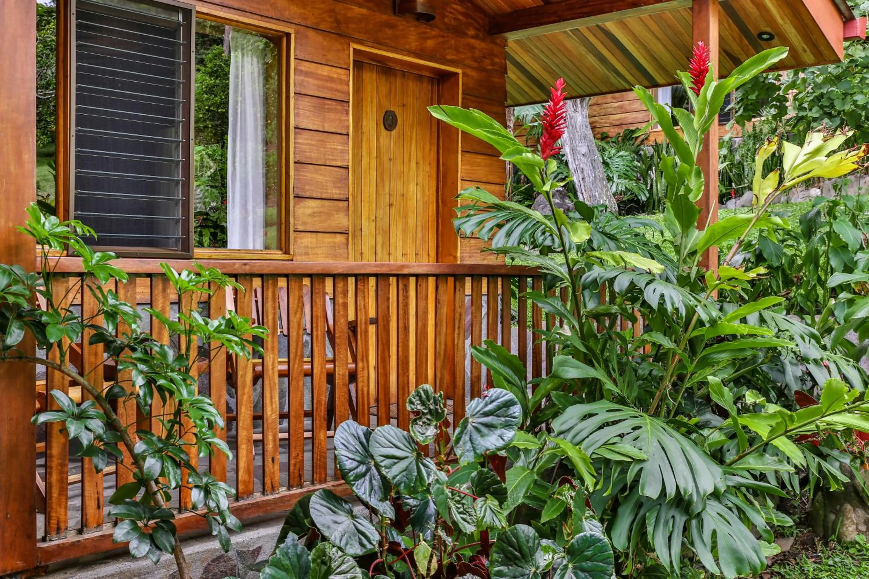 Garden in Arco Iris Lodge