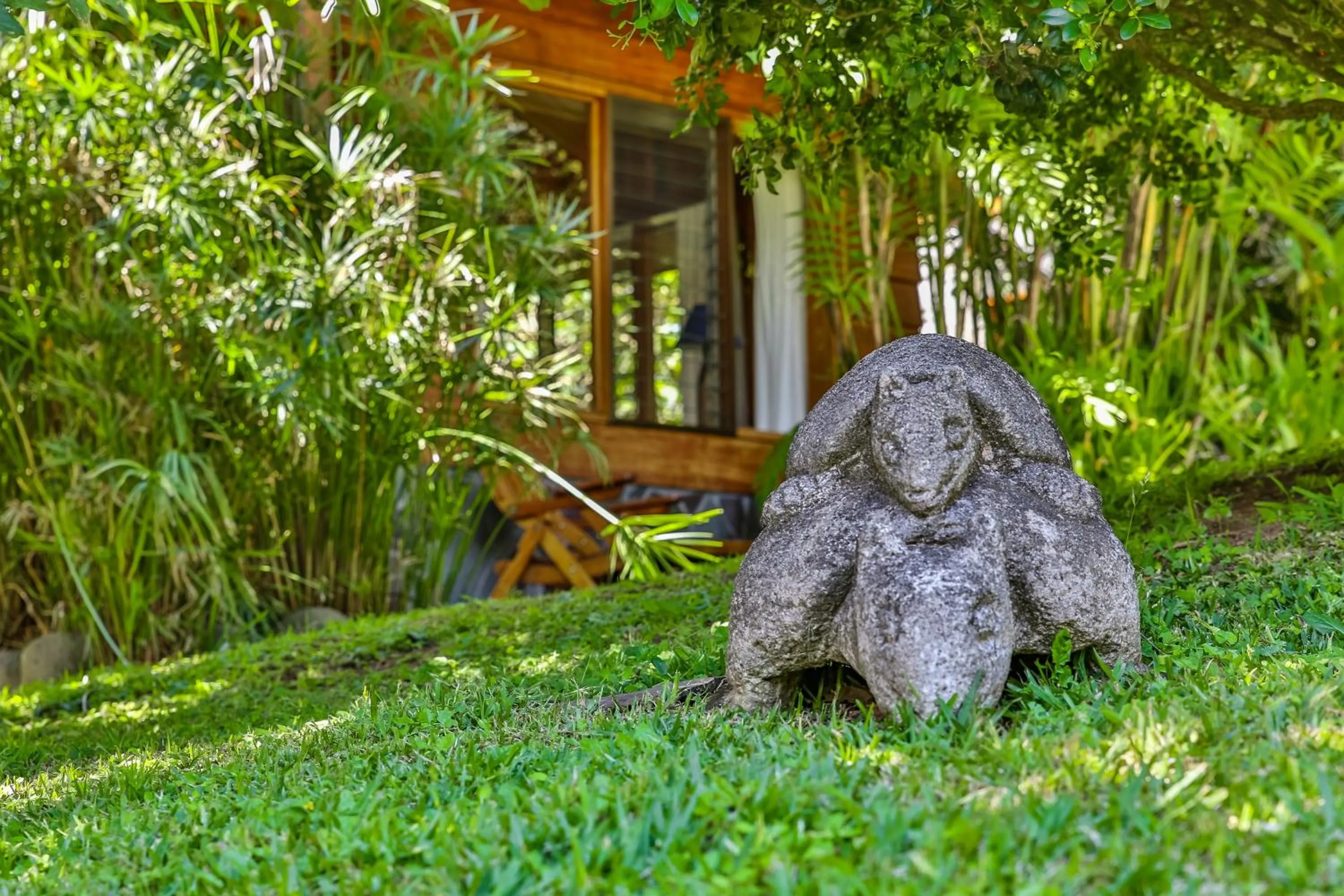 Garden in Arco Iris Lodge