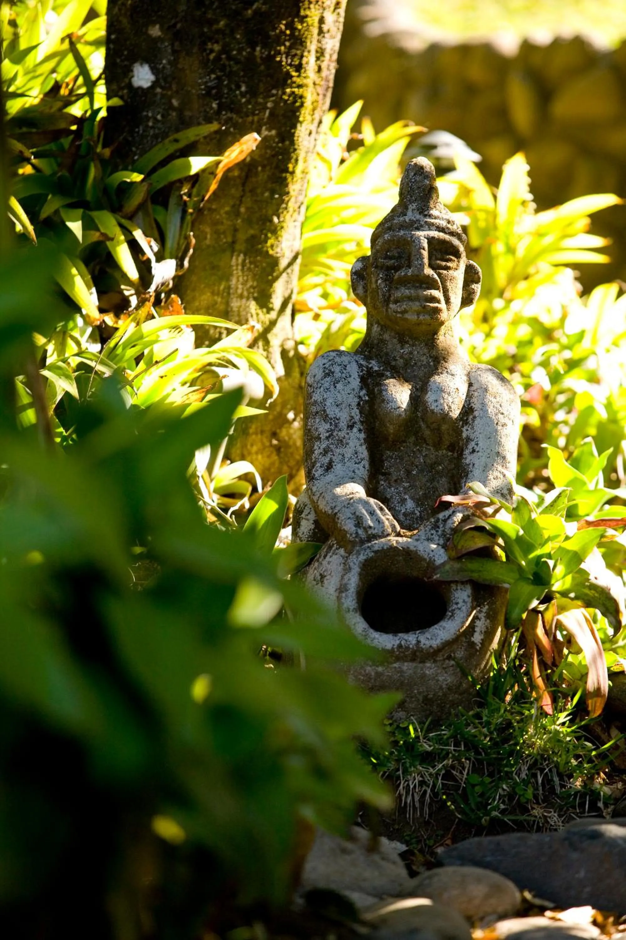 Garden view in Arco Iris Lodge