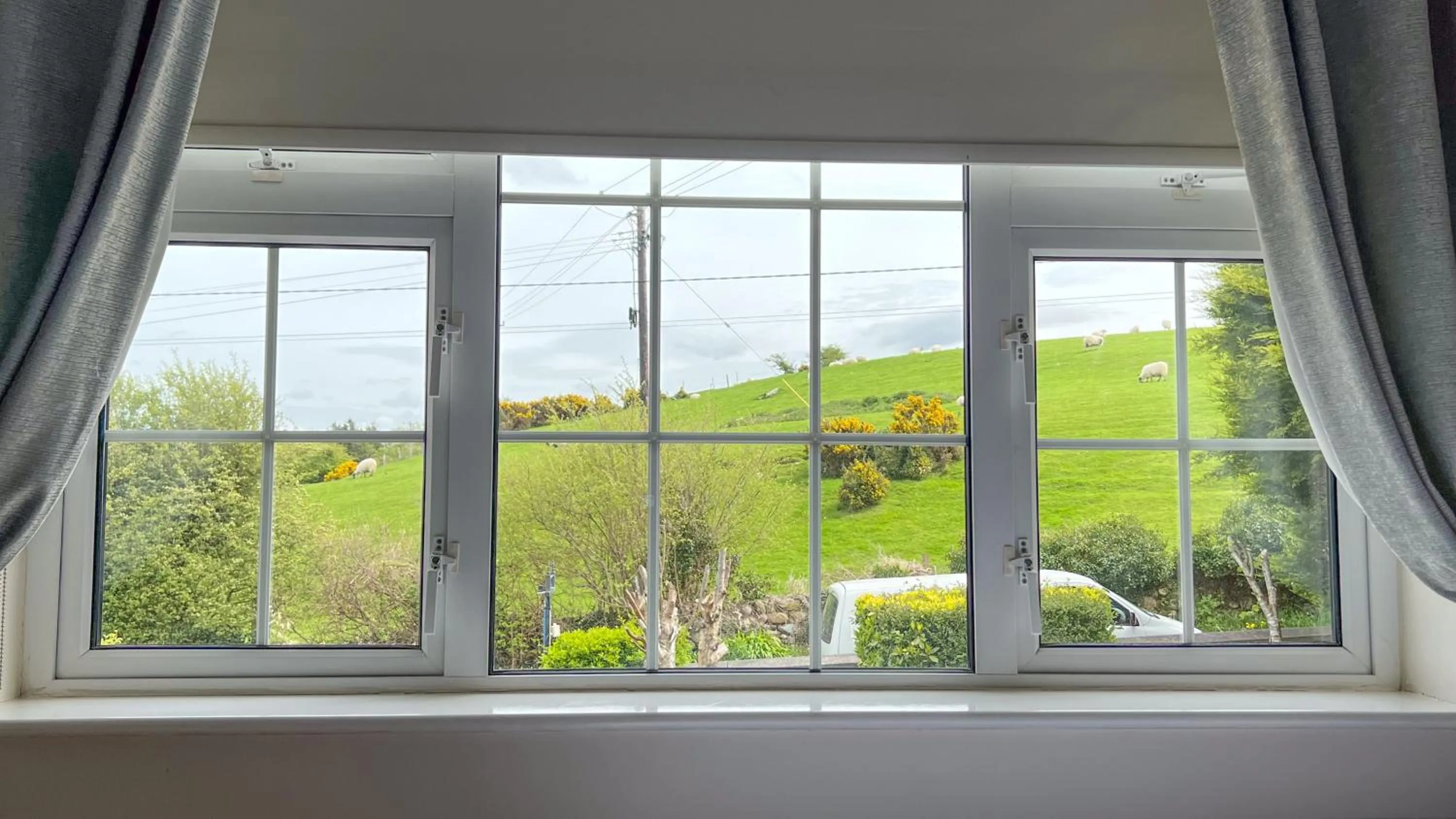 Spring in Lurgan House