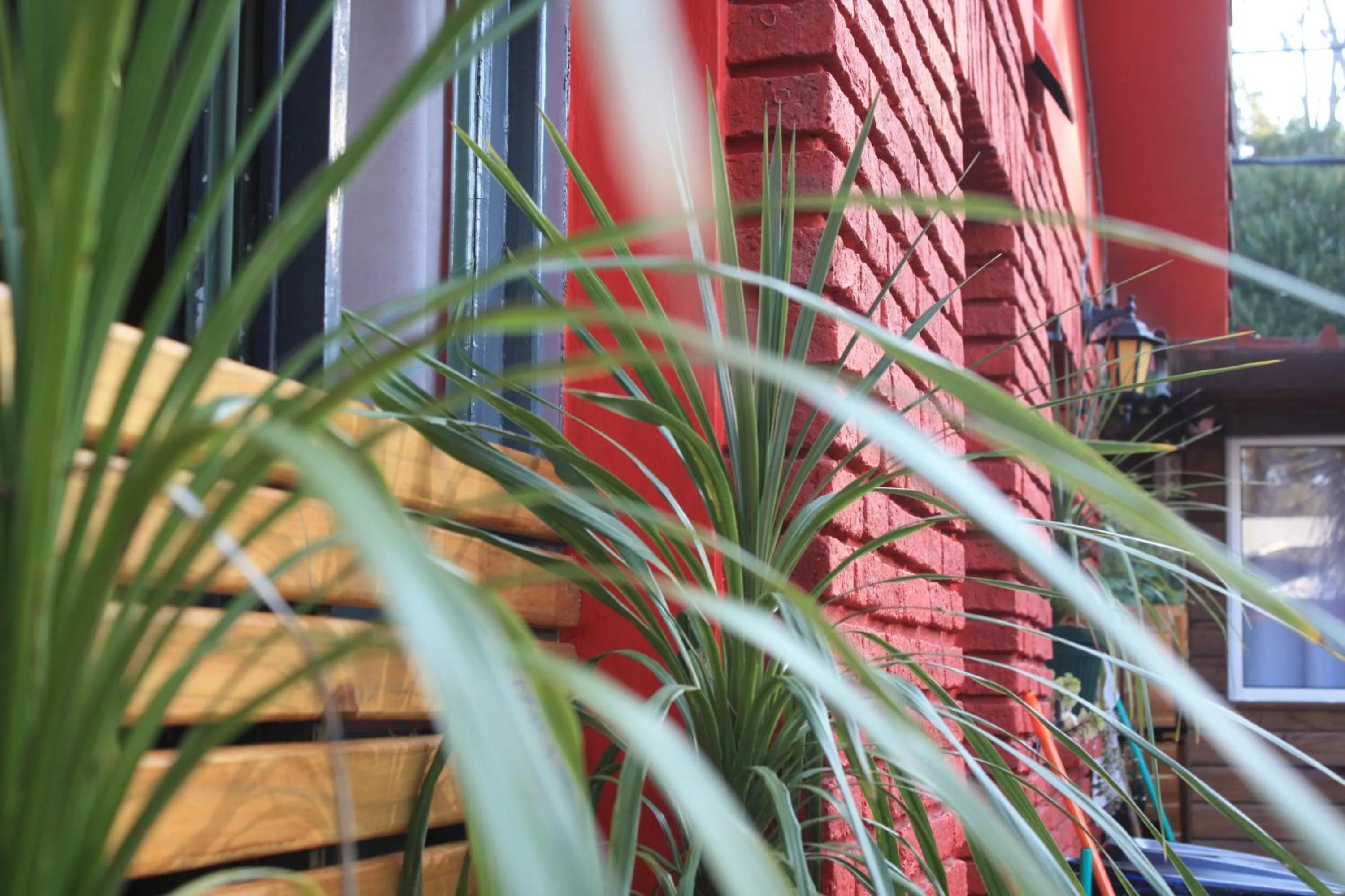 Patio in RocaMar Hostel Boutique