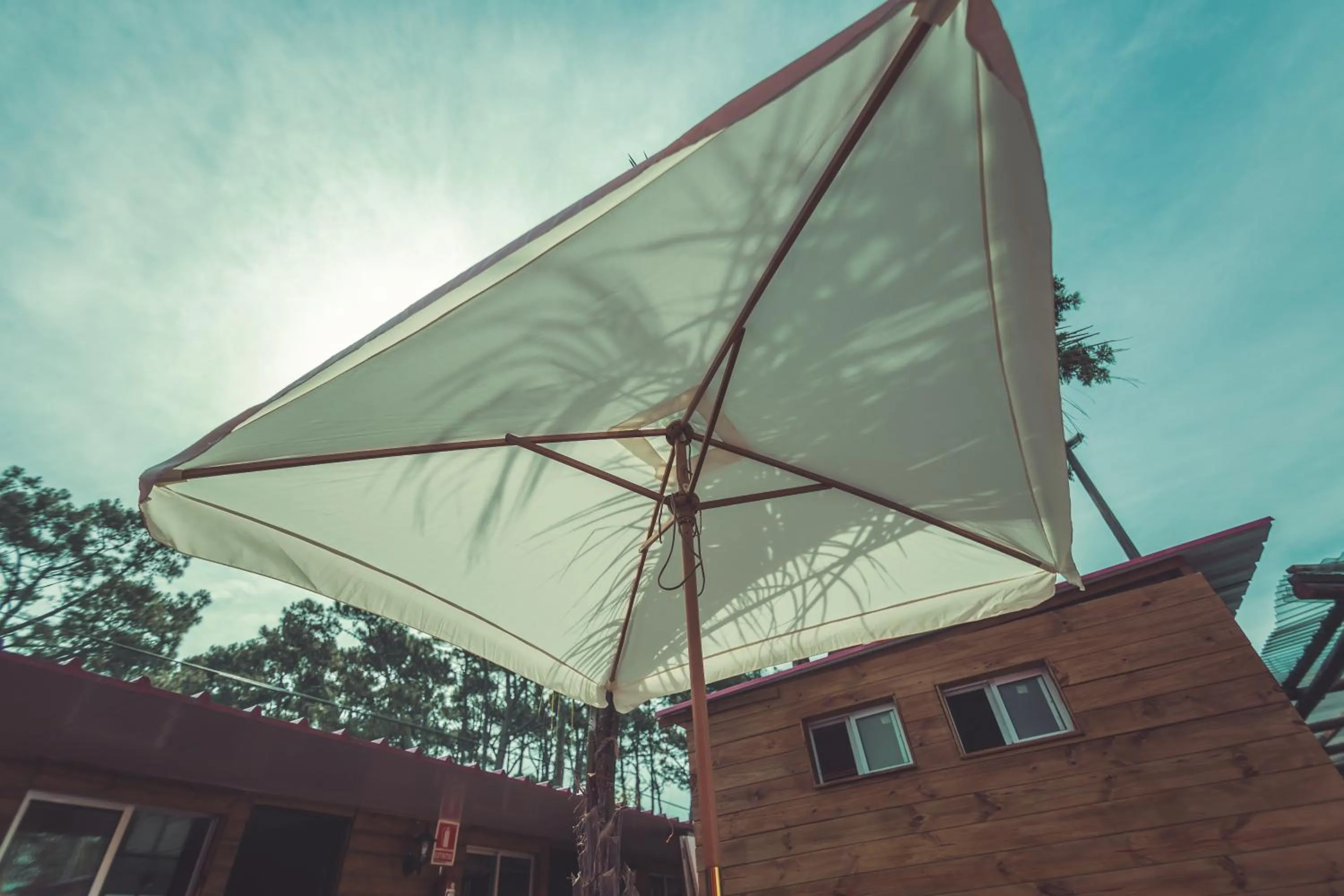 Patio in RocaMar Hostel Boutique