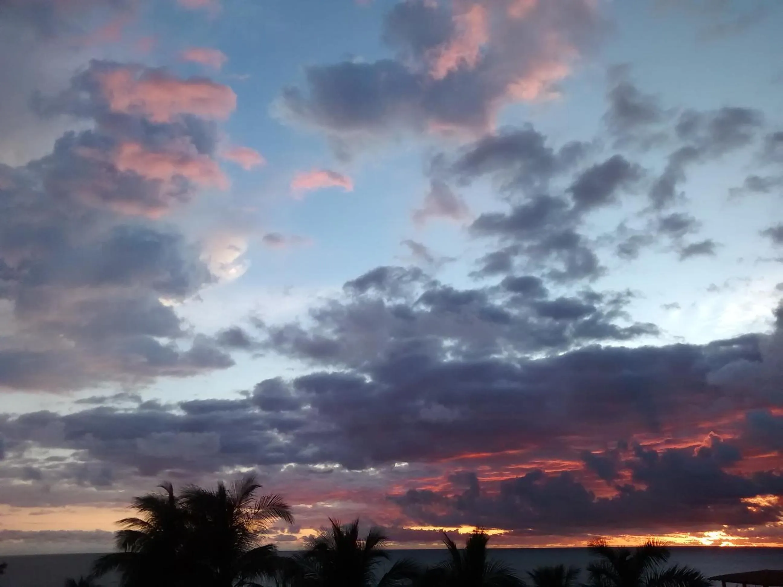 Sea view in Hotel Papaya Surf