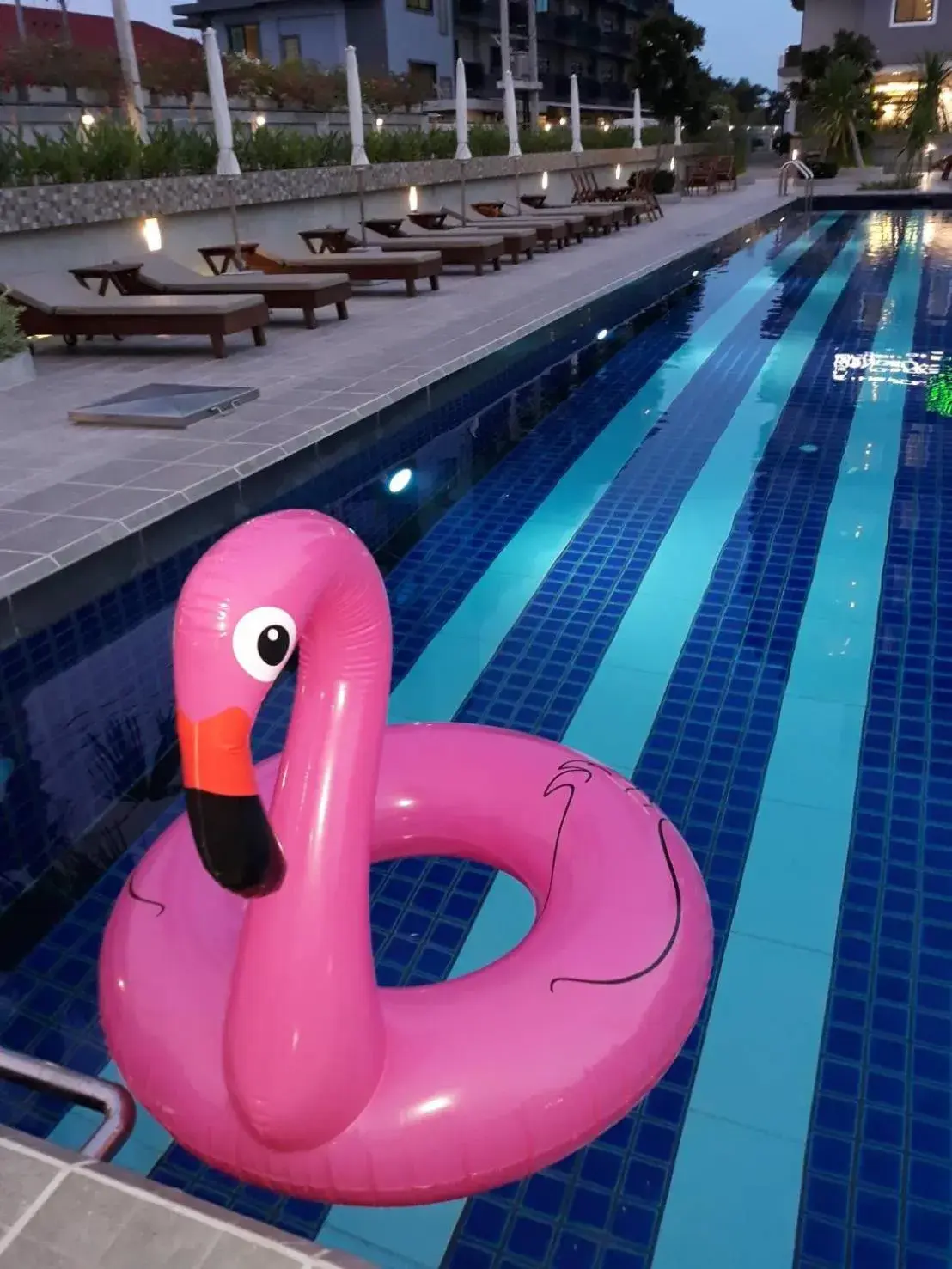 Swimming Pool in The Mangrove Hotel