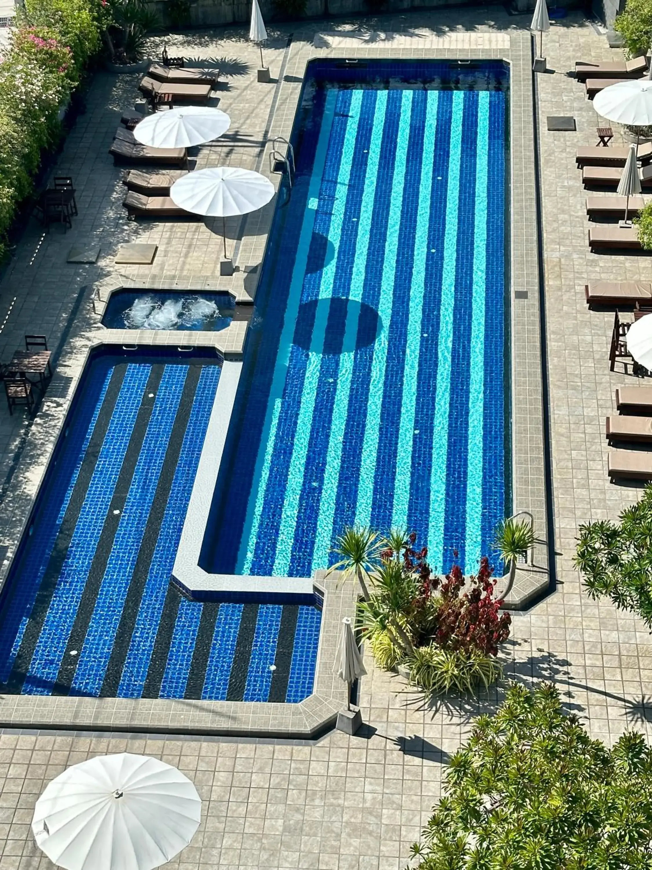 Swimming pool, Pool View in The Mangrove Hotel