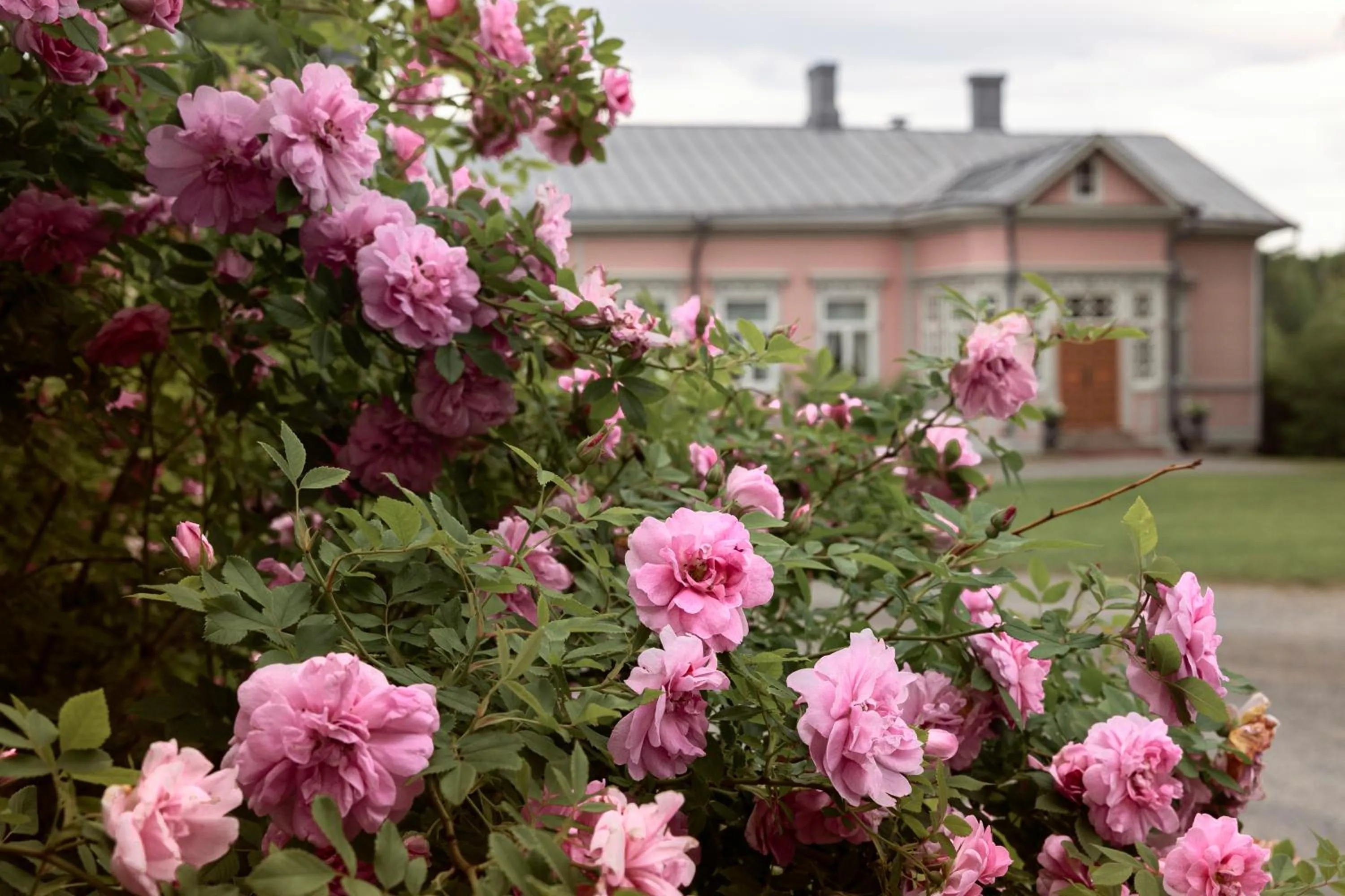 Restaurant/places to eat in Tertin Kartano